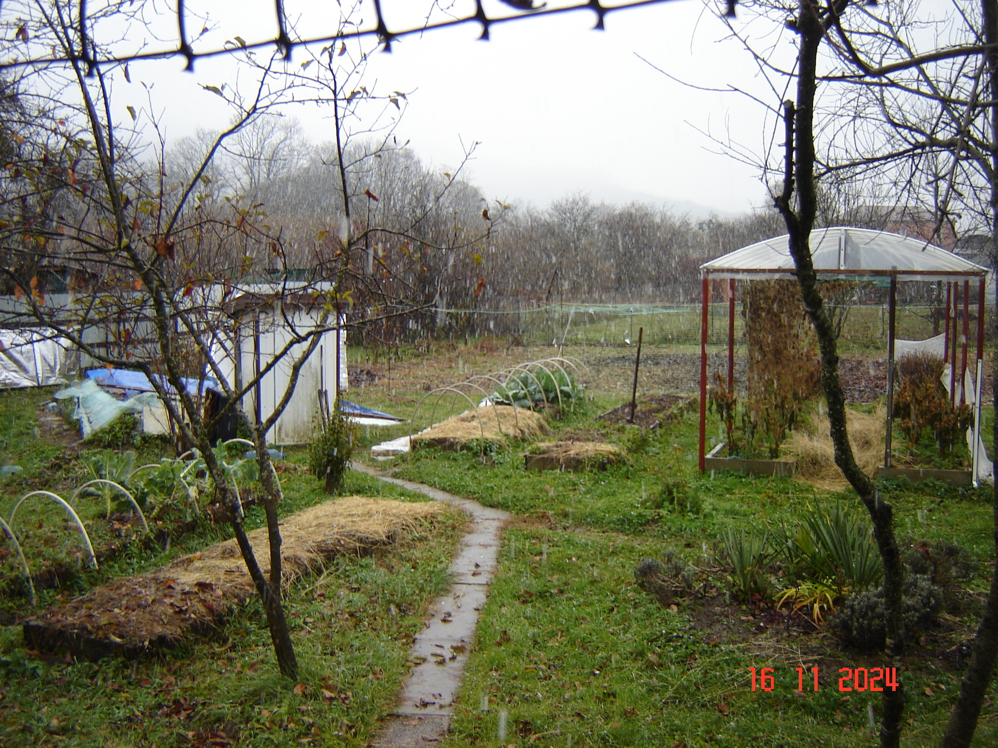 First snow and work in the year-round greenhouse - My, Краснодарский Край, Underground greenhouse, Krasnodar, Longpost