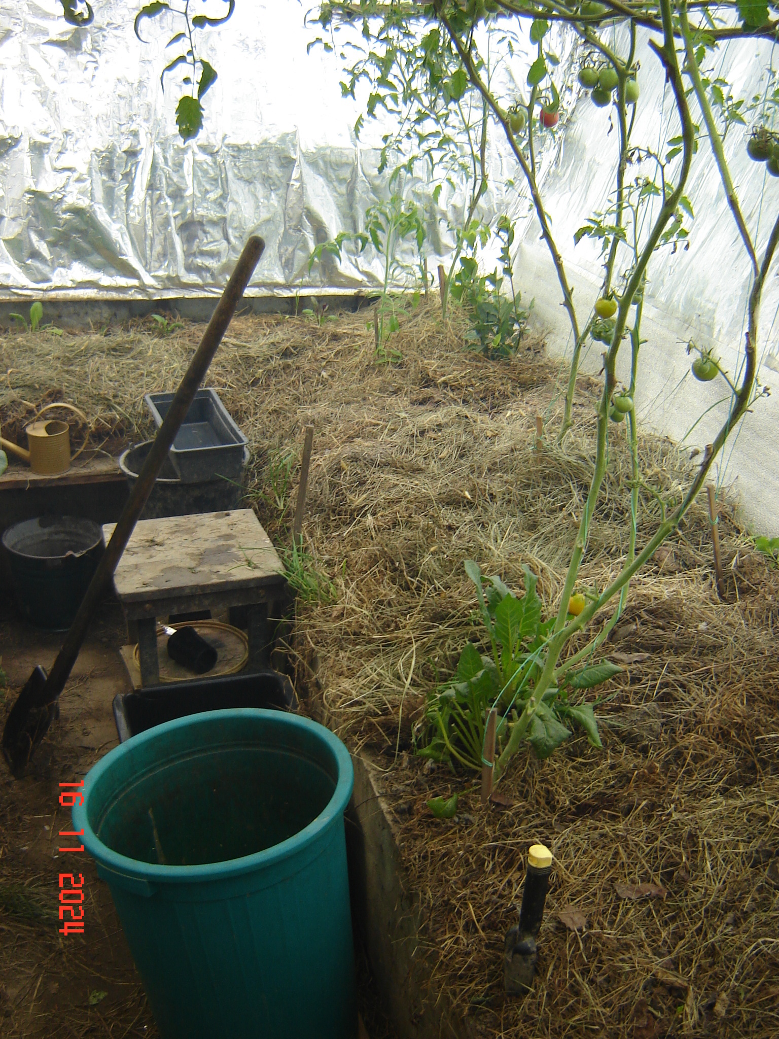 First snow and work in the year-round greenhouse - My, Краснодарский Край, Underground greenhouse, Krasnodar, Longpost