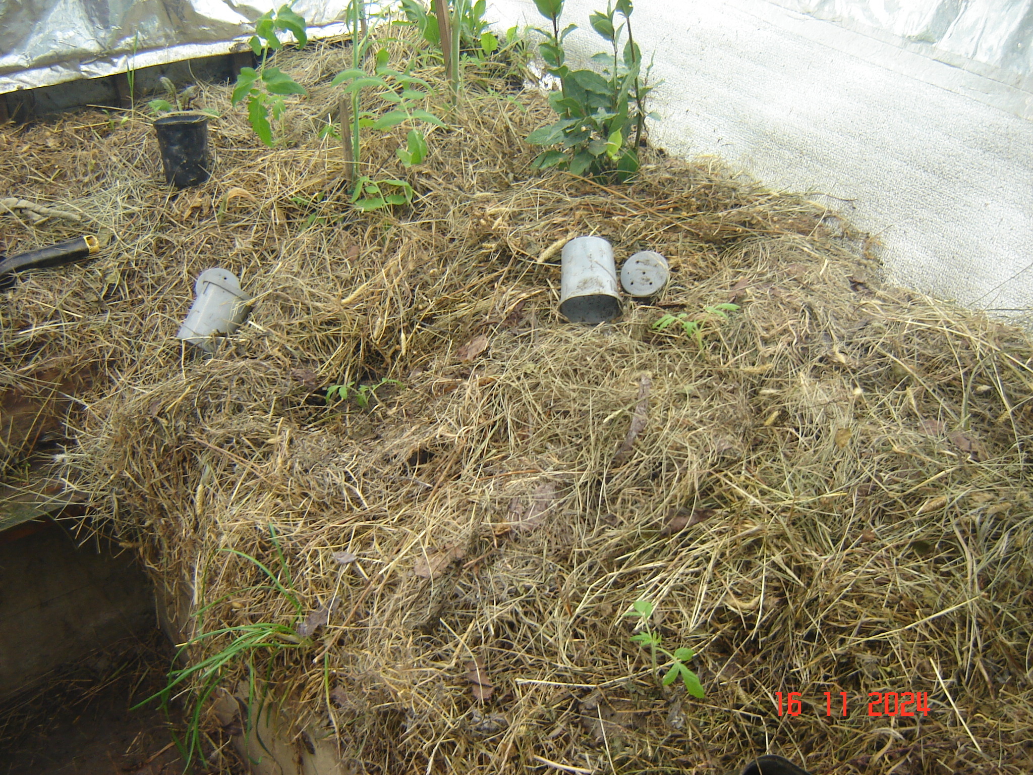 First snow and work in the year-round greenhouse - My, Краснодарский Край, Underground greenhouse, Krasnodar, Longpost