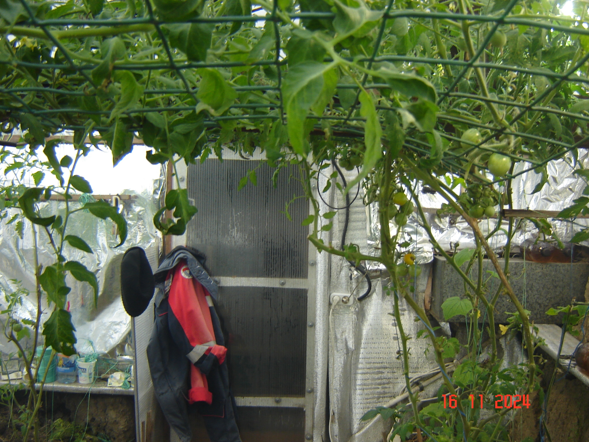 First snow and work in the year-round greenhouse - My, Краснодарский Край, Underground greenhouse, Krasnodar, Longpost