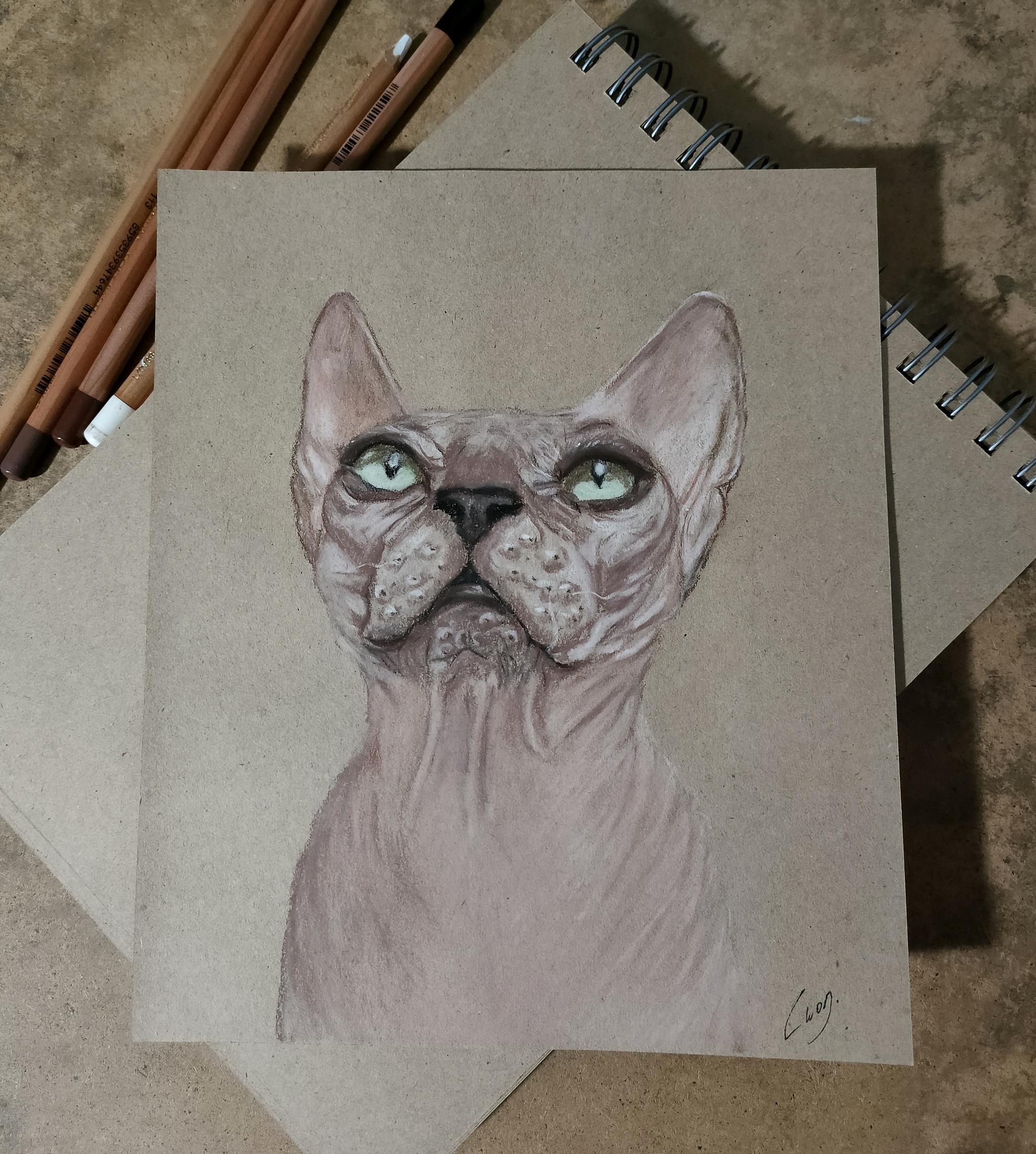 Cat Portrait #30 Alien Cat - My, Drawing, Painting, Learning to draw, Beginner artist, cat, Sphinx, Animalistics, Sketchbook, Portrait by photo, Animals, Traditional art