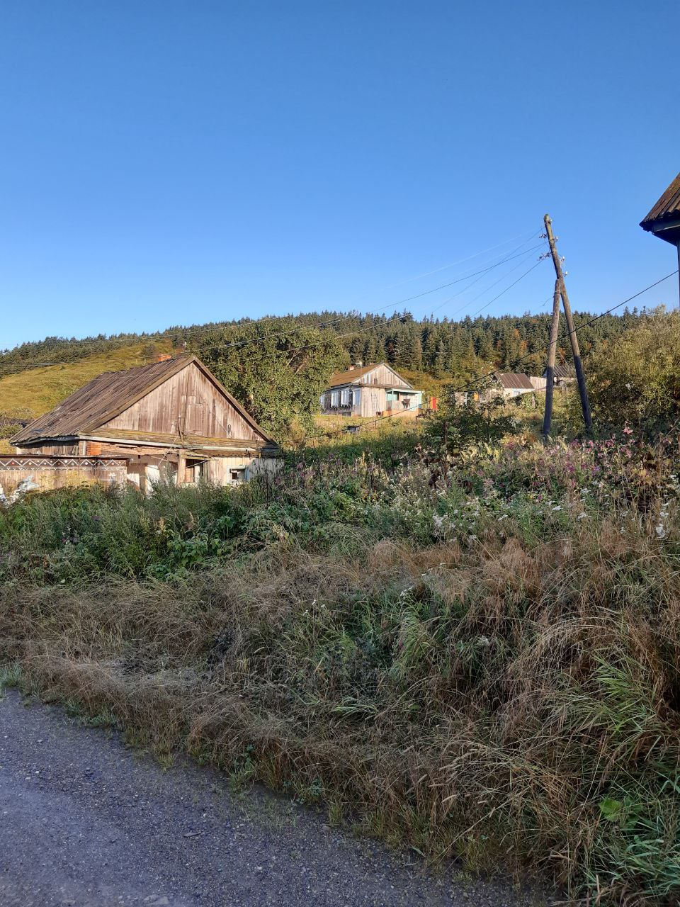 HOW I FOUND MY GRANDFATHER'S VILLAGE IN THE TAIGA - My, Travel across Russia, Island, Travels, Village, Village, Sakhalin, Taiga, Nature, Dream, The nature of Russia, Family, Grandfather, Longpost