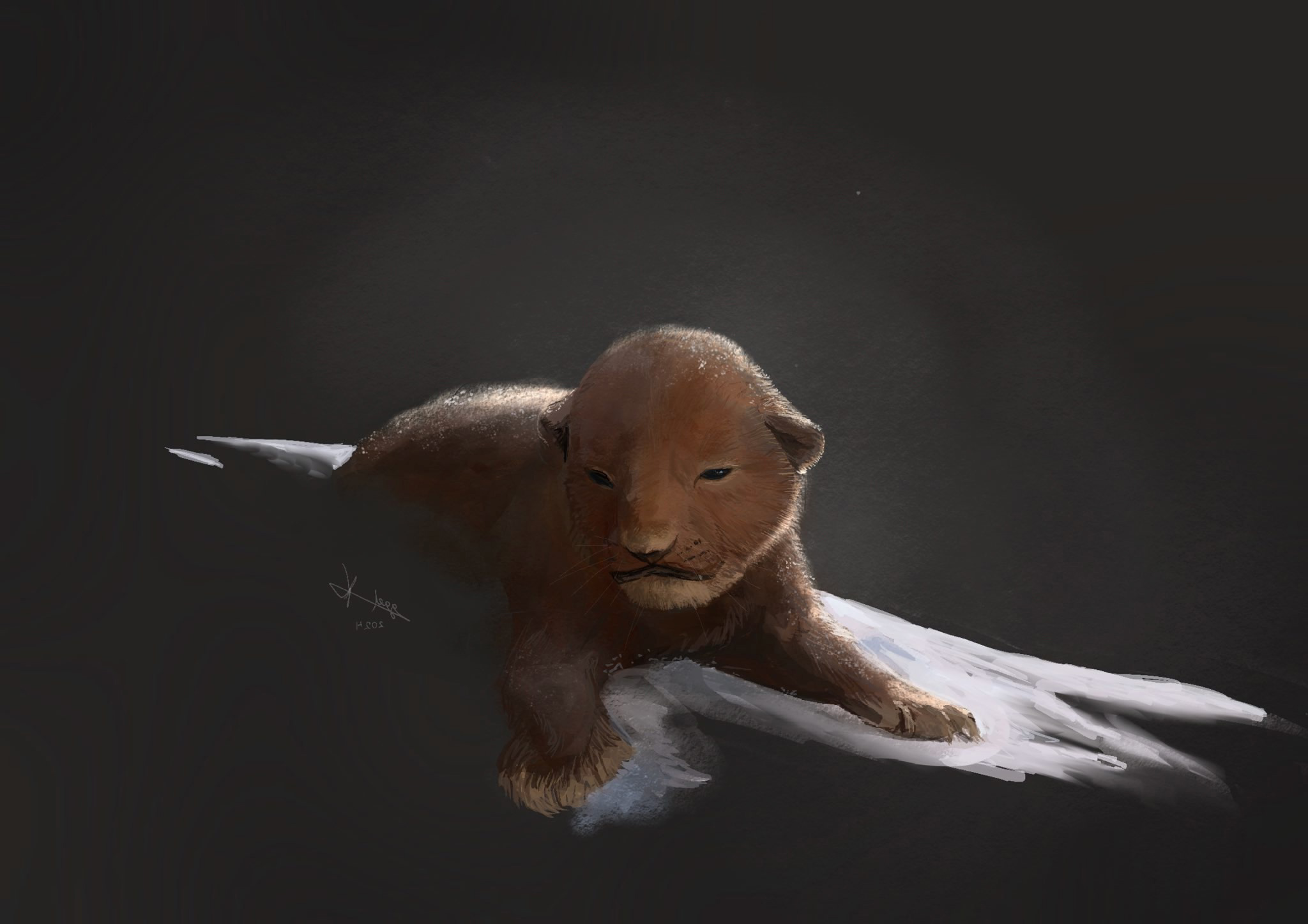 35,000 years ago, this little guy could have become one of the most fearsome predators of his time, but he only lived for three weeks. - My, Nauchpop, The science, Longpost