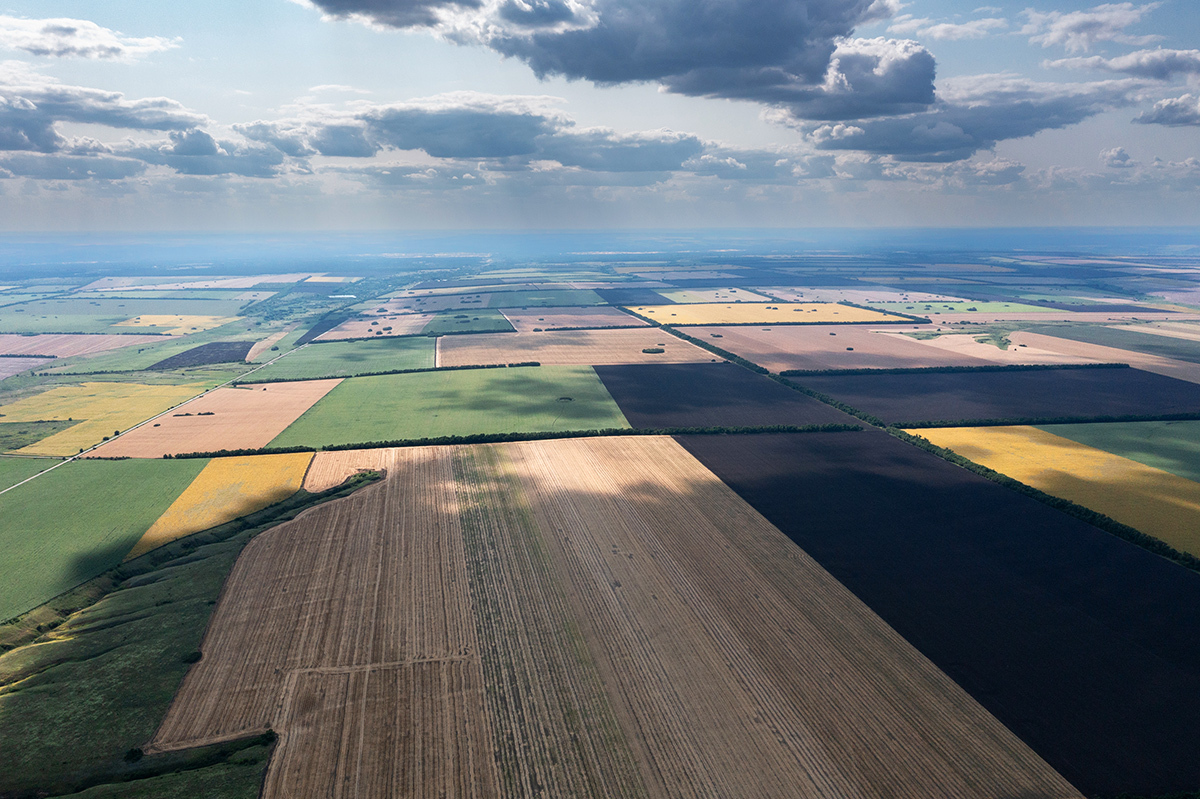 Mosaic of fields - My, Rostov region, Field, Aerial photography, Landscape, The photo