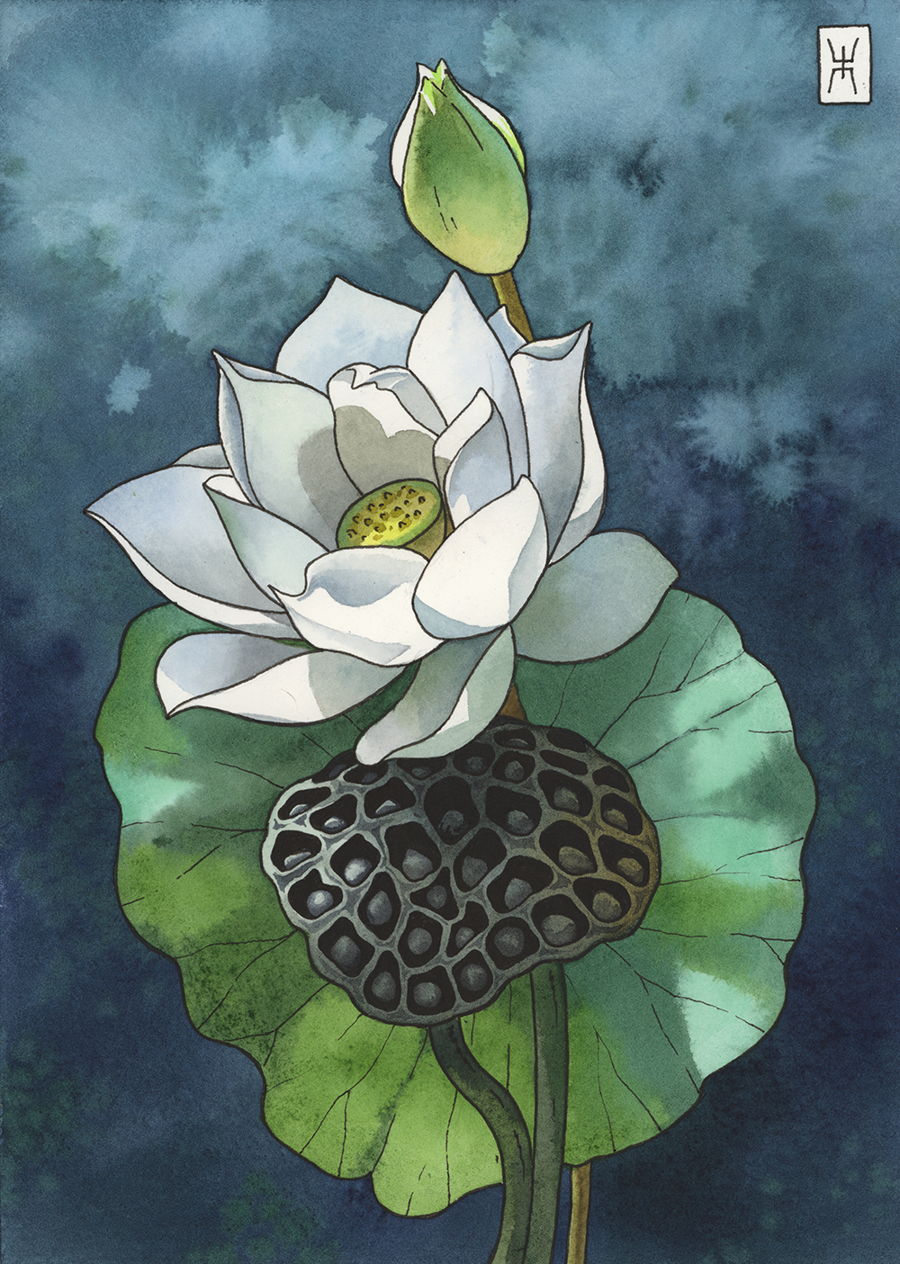 I show watercolors. Lotuses - set - My, Watercolor, Traditional art, Painting, Illustrations, Art, Poster, Longpost