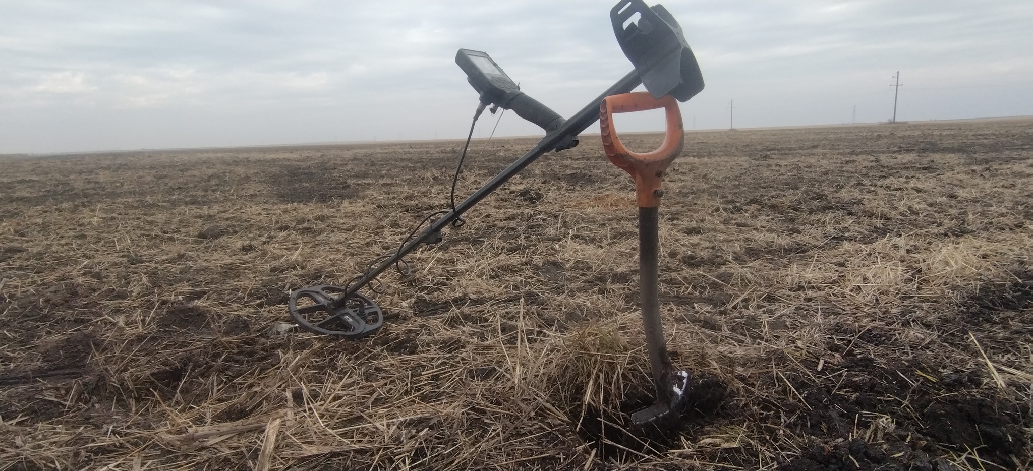 Closing of the season - My, Archaeological finds, Find, Amur region, Blagoveshchensk, Metal detector, Buttons, Coin, Rare coins, Ancient coins, Search, Treasure hunt, Treasure, Digger, Manchuria, Closing the season, Silver, 19th century, Longpost