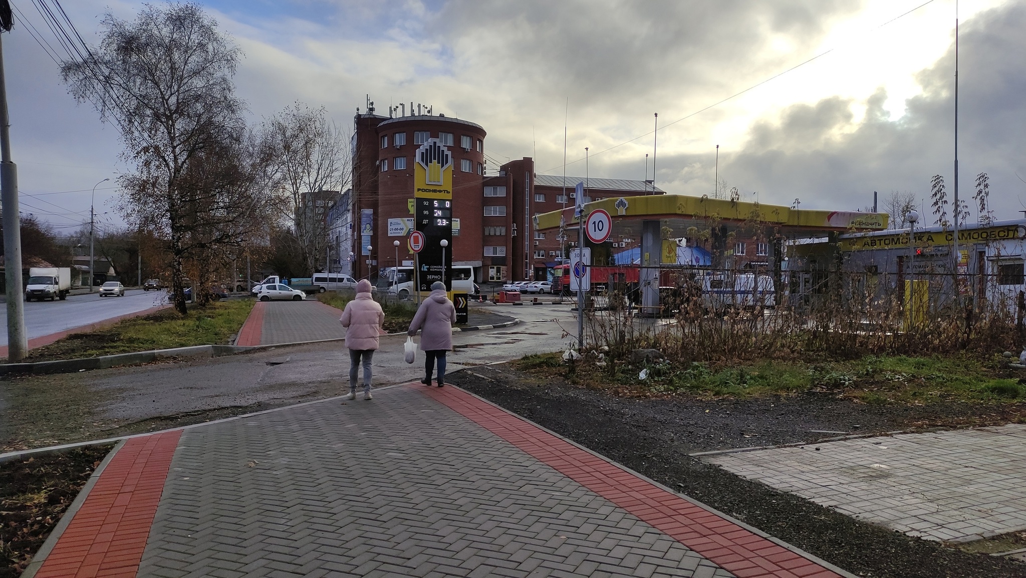 Бродячие собаки. Город Томск - Негатив, Опасность, Дикие животные, Бродячие собаки, Нападение собак, Томск, Длиннопост, Собака