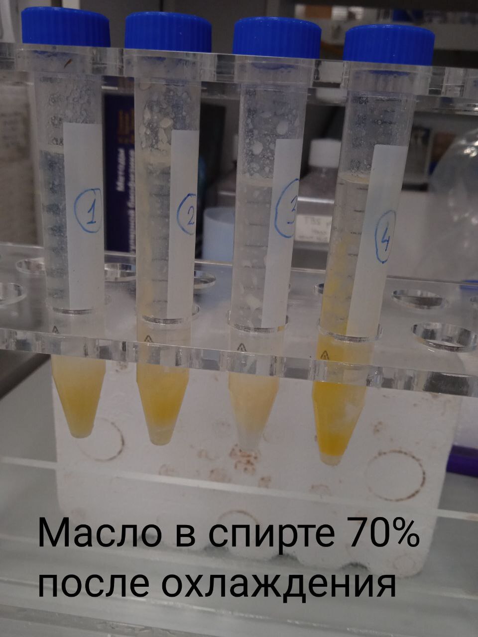 Сравнение качества сливочного масла в домашних условиях - Моё, Эксперимент, Химия, Сливочное масло, Еда, Проверка, Контроль качества, Тестирование, Продукты, Натуральные продукты, Длиннопост