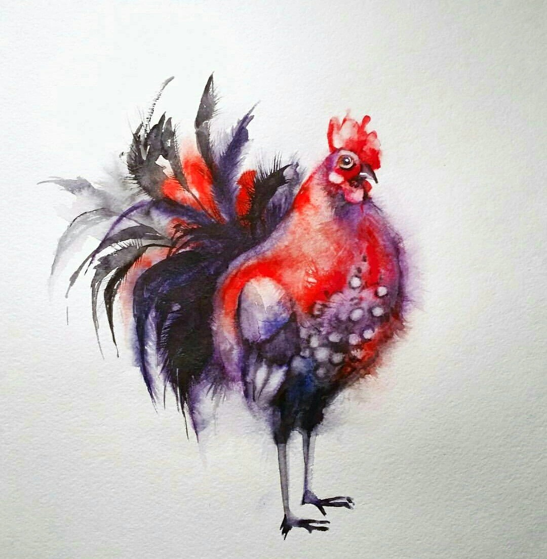 Petya red - My, Watercolor, Drawing, Birds, Rooster, Art, Red