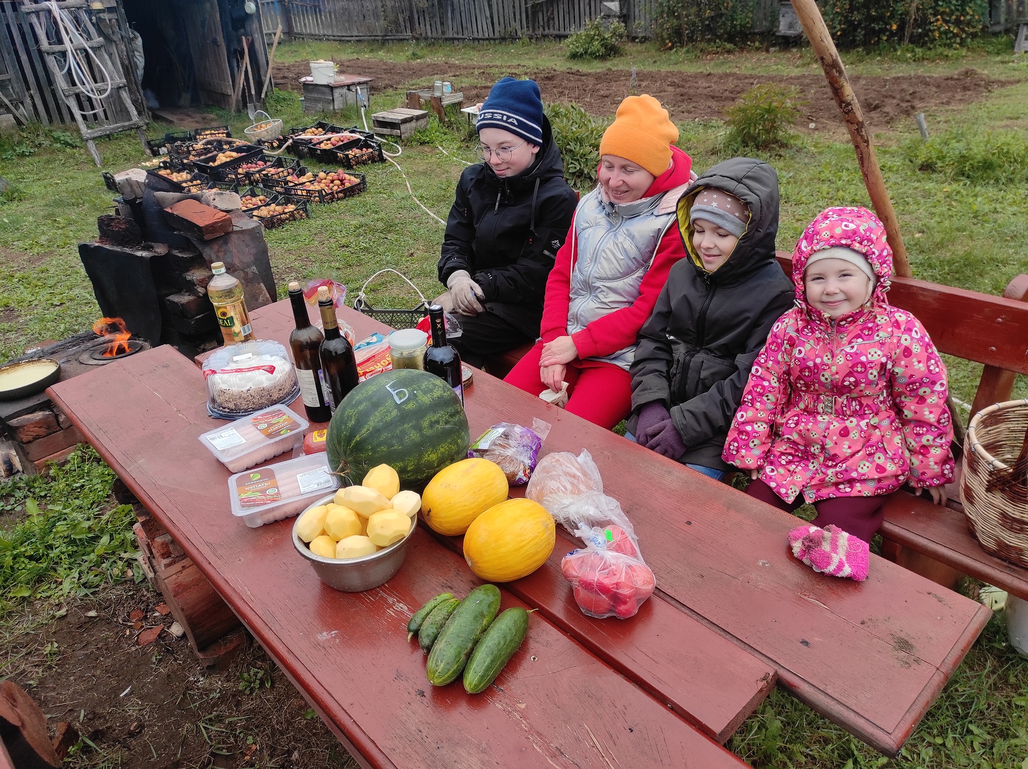 Traditionally, after harvesting potatoes, we sit down at the village table. - My, Village, Village, Сельское хозяйство, Harvest, Garden