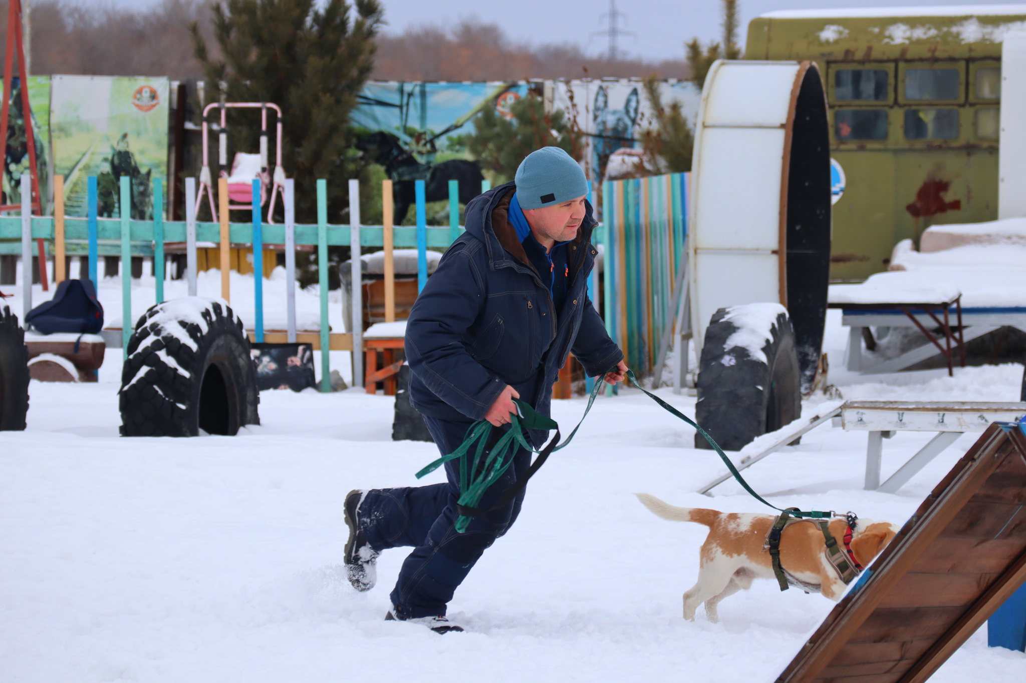 Dog training in Omsk - OCSSSS 11/16/24 - Dog, Puppies, Omsk, Training, Г“Г±Г±Г±, Friend, Care, Kindness, Dog breeding, Friends, Longpost