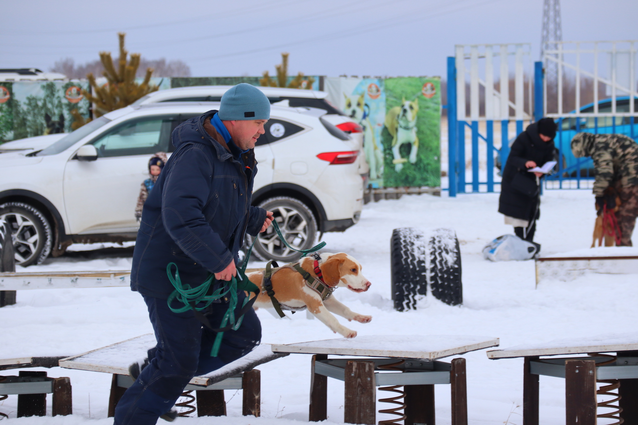 Dog training in Omsk - OCSSSS 11/16/24 - Dog, Puppies, Omsk, Training, Г“Г±Г±Г±, Friend, Care, Kindness, Dog breeding, Friends, Longpost