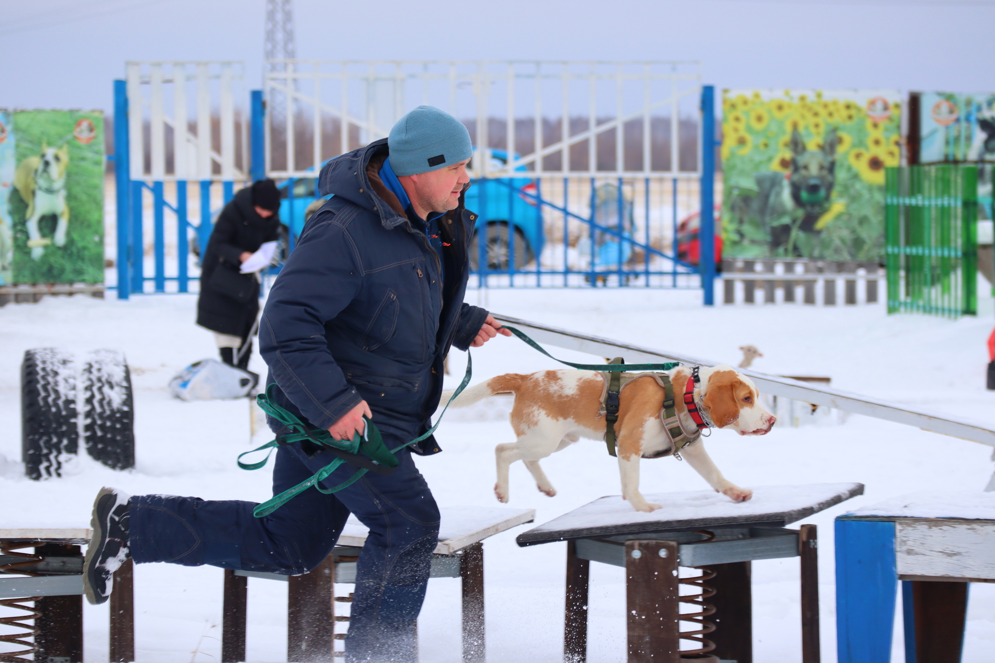 Dog training in Omsk - OCSSSS 11/16/24 - Dog, Puppies, Omsk, Training, Г“Г±Г±Г±, Friend, Care, Kindness, Dog breeding, Friends, Longpost