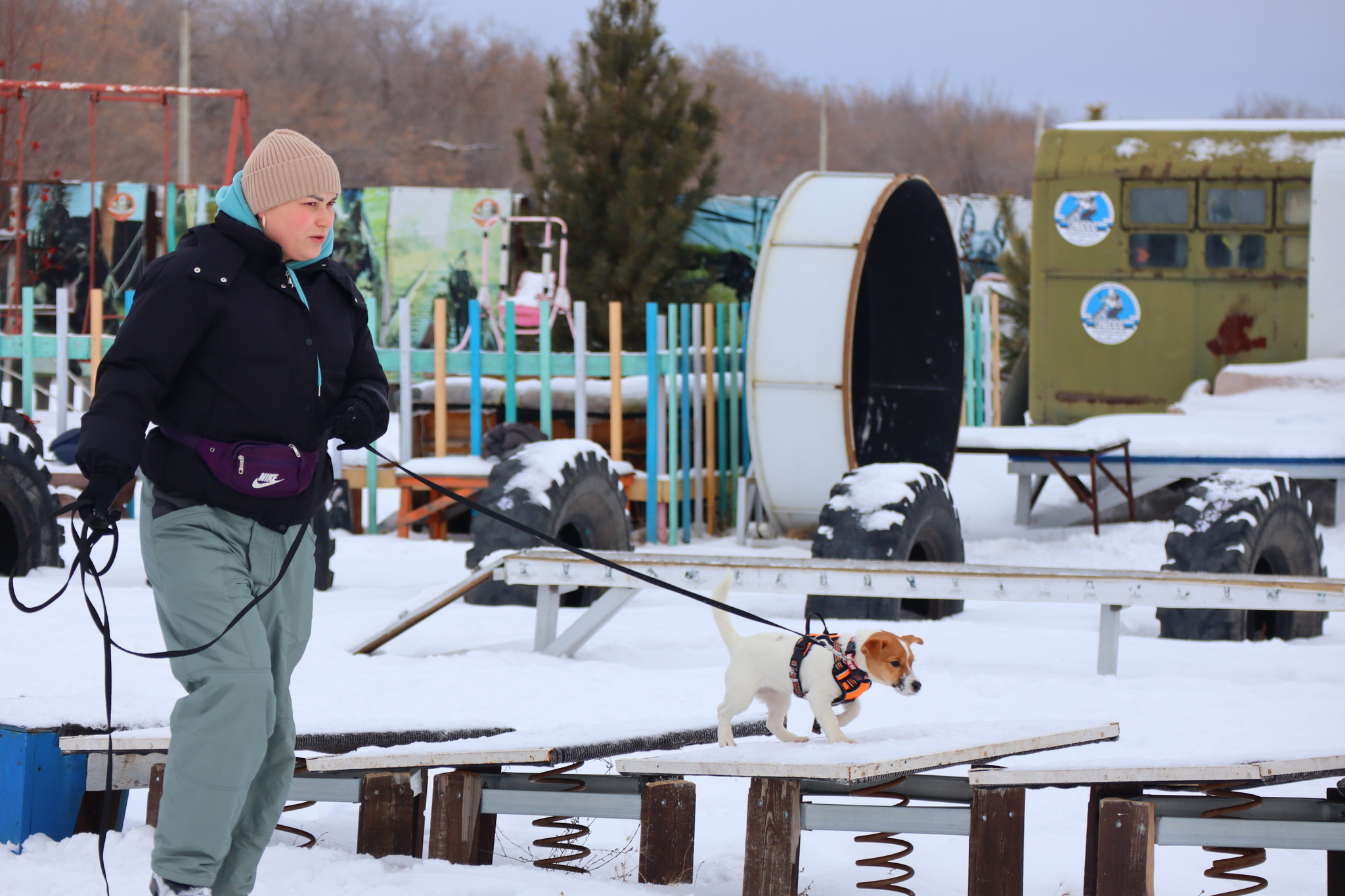 Dog training in Omsk - OCSSSS 11/16/24 - Dog, Puppies, Omsk, Training, Г“Г±Г±Г±, Friend, Care, Kindness, Dog breeding, Friends, Longpost