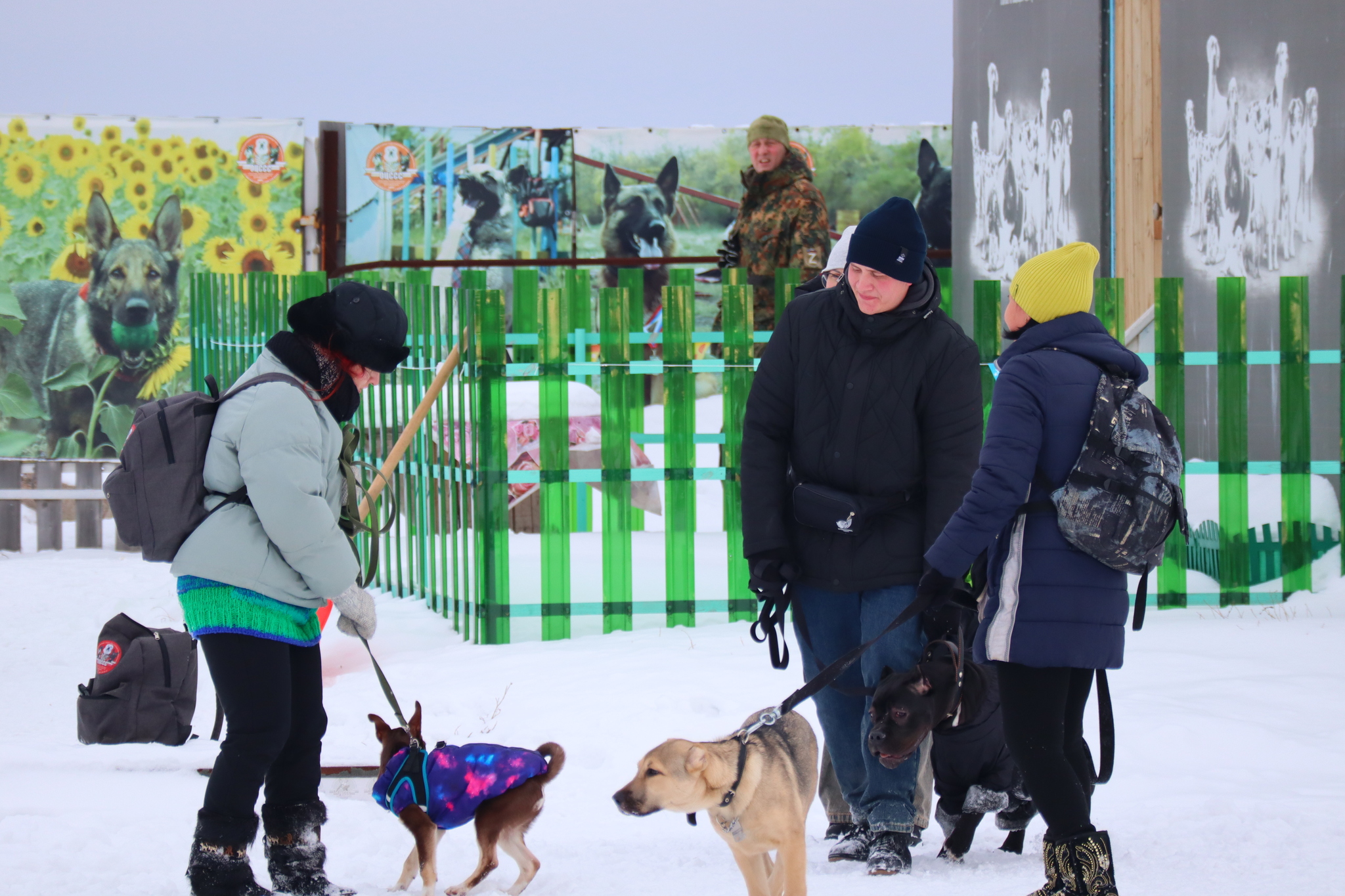 Dog training in Omsk - OCSSSS 11/16/24 - Dog, Puppies, Omsk, Training, Г“Г±Г±Г±, Friend, Care, Kindness, Dog breeding, Friends, Longpost