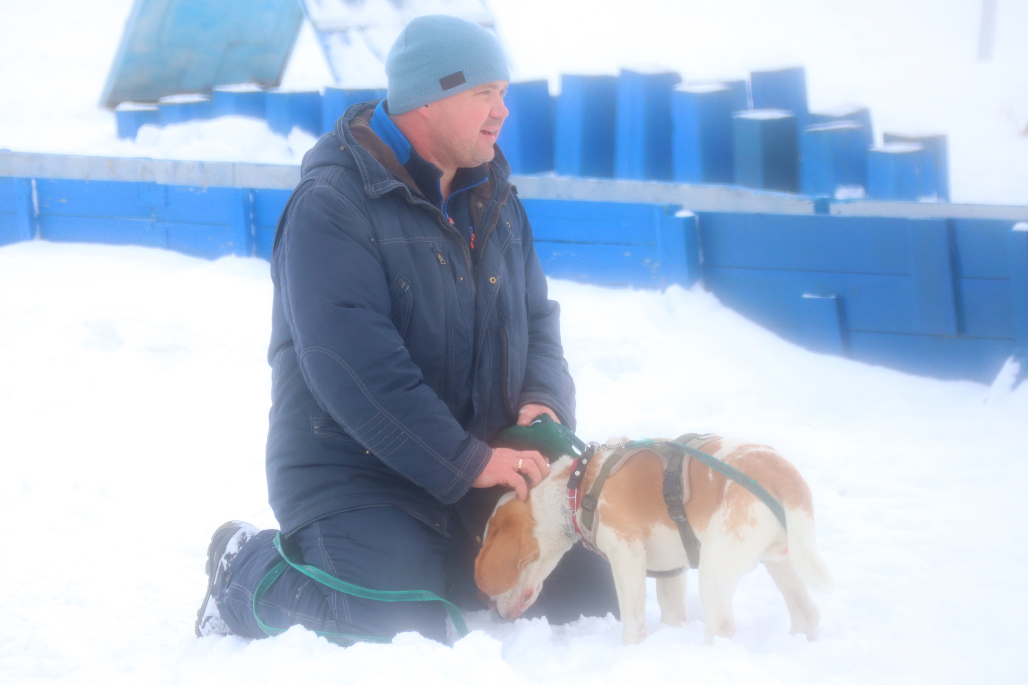 Dog training in Omsk - OCSSSS 11/16/24 - Dog, Puppies, Omsk, Training, Г“Г±Г±Г±, Friend, Care, Kindness, Dog breeding, Friends, Longpost