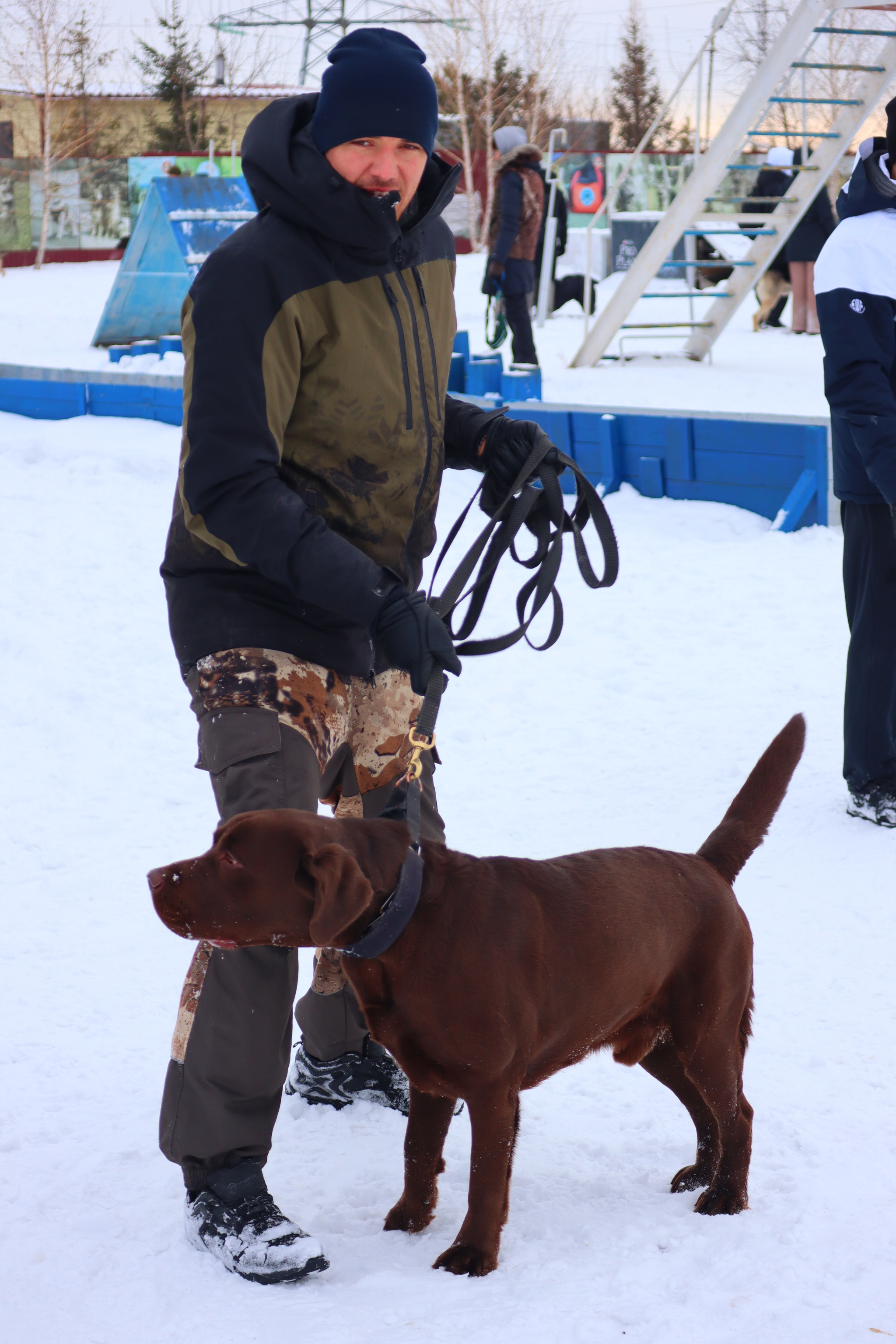 Dog training in Omsk - OCSSSS 11/16/24 - Dog, Puppies, Omsk, Training, Г“Г±Г±Г±, Friend, Care, Kindness, Dog breeding, Friends, Longpost