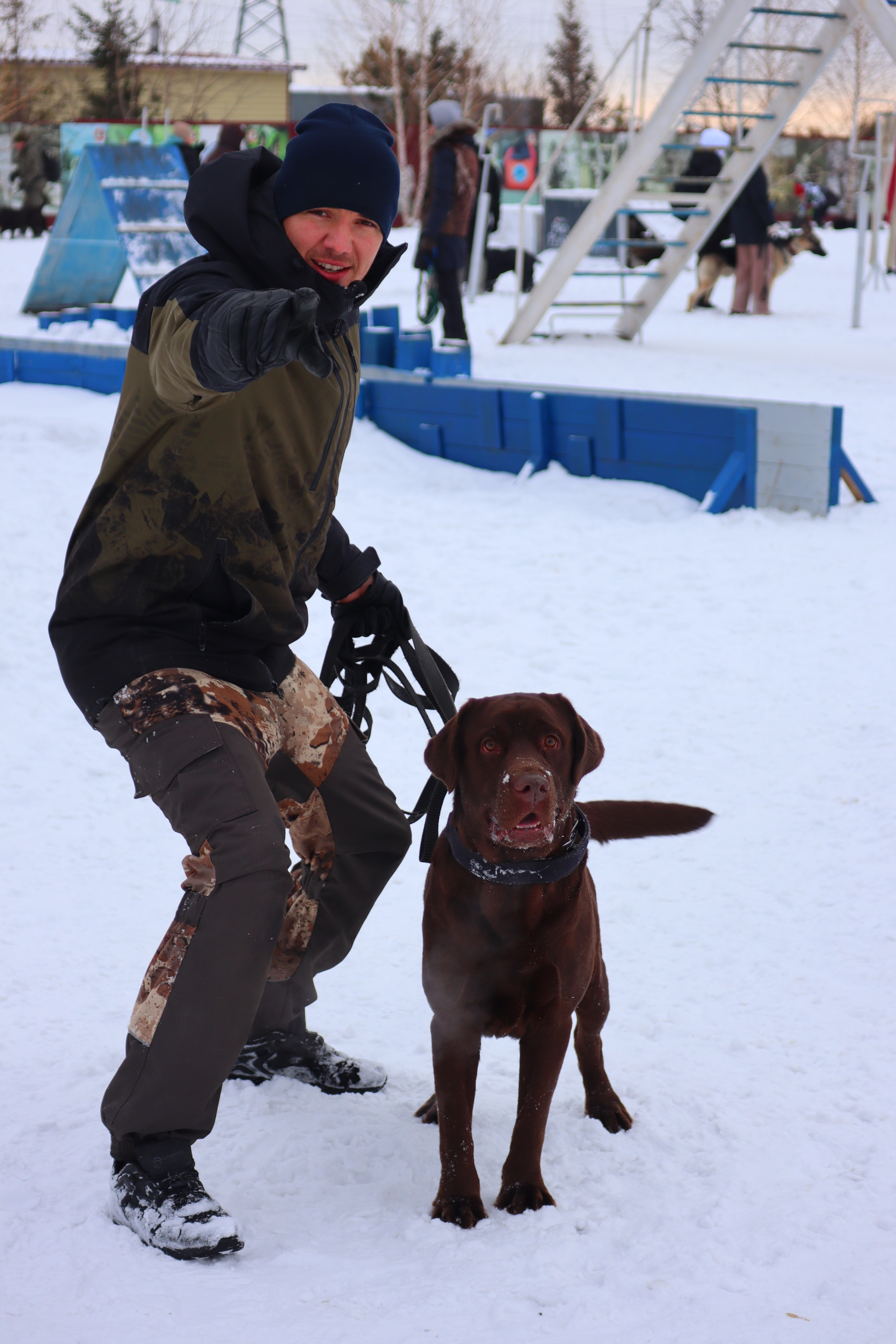 Dog training in Omsk - OCSSSS 11/16/24 - Dog, Puppies, Omsk, Training, Г“Г±Г±Г±, Friend, Care, Kindness, Dog breeding, Friends, Longpost