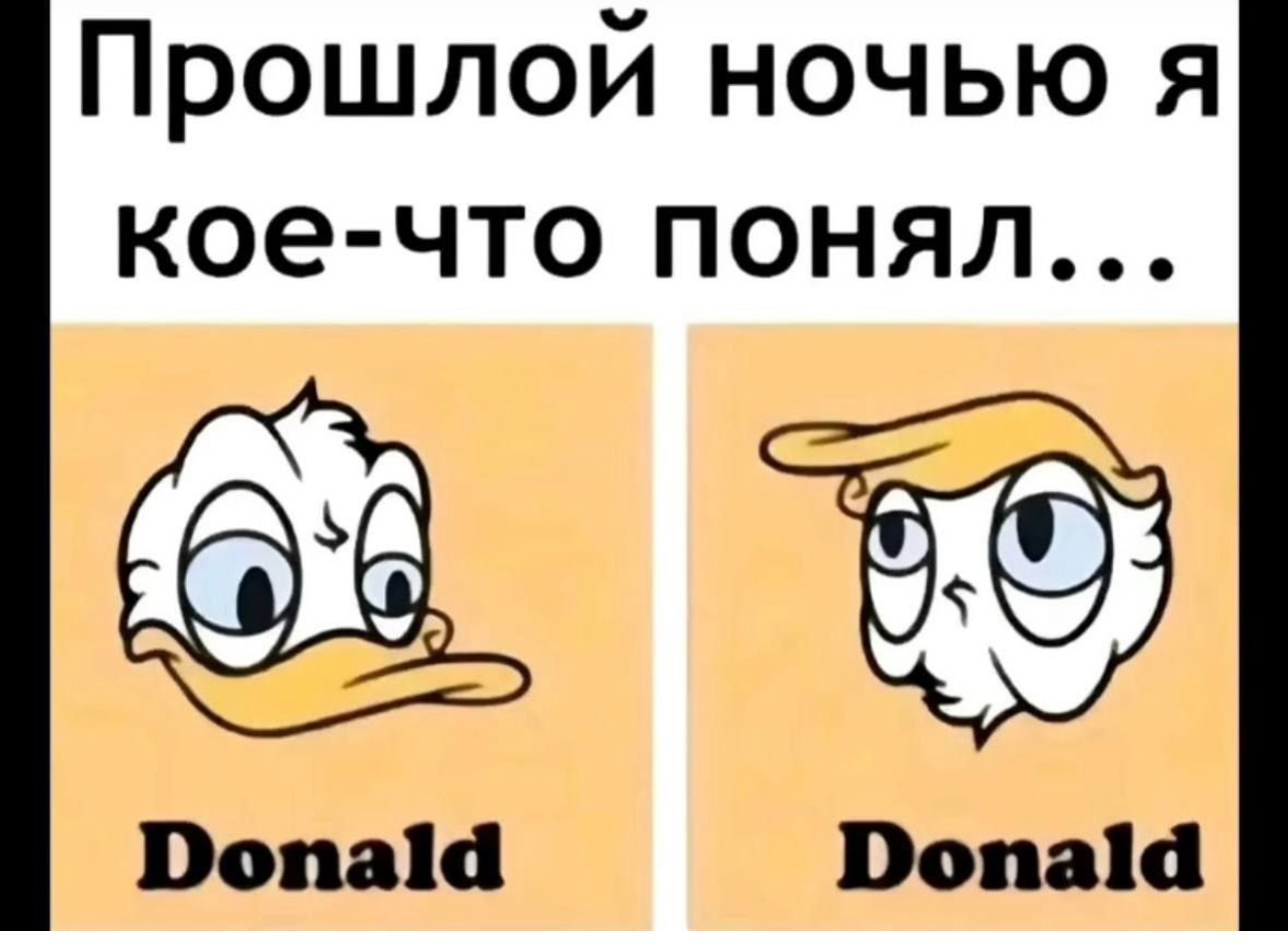 Rethinking… - Humor, Krinj, Or, Hardened, Picture with text, Donald Trump, US elections, Laughter (reaction), Cartoons, Donald Duck, Repeat