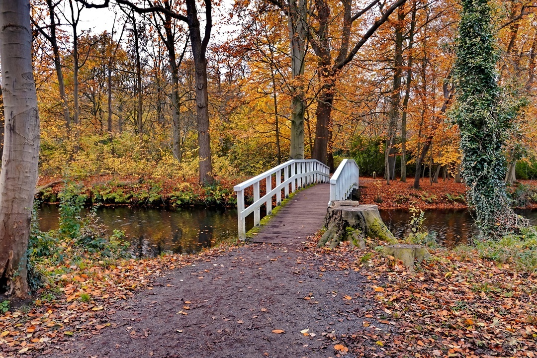 Just autumn... - My, The photo, Netherlands (Holland), Nature