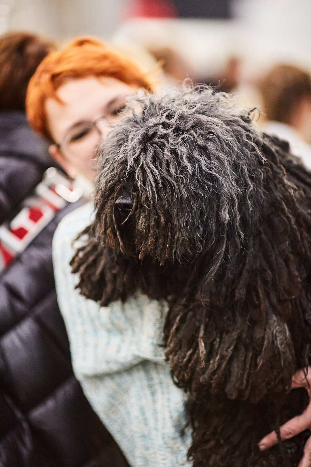 Dog Show Eurasia-2024 - My, Dog show, The photo, Dog, Dog lovers, Friend, Training, Kindness, Longpost