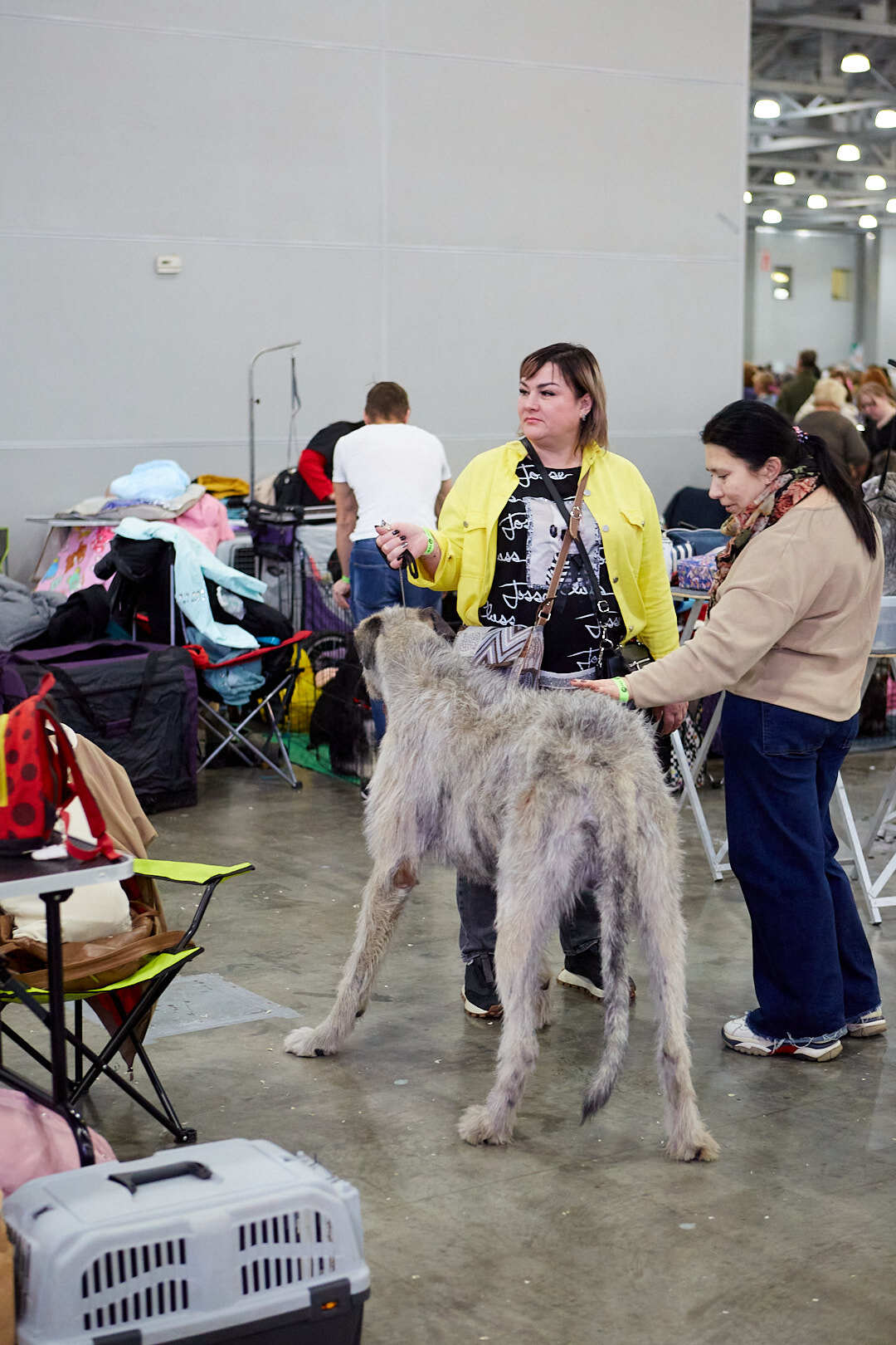 Dog Show Eurasia-2024 - My, Dog show, The photo, Dog, Dog lovers, Friend, Training, Kindness, Longpost