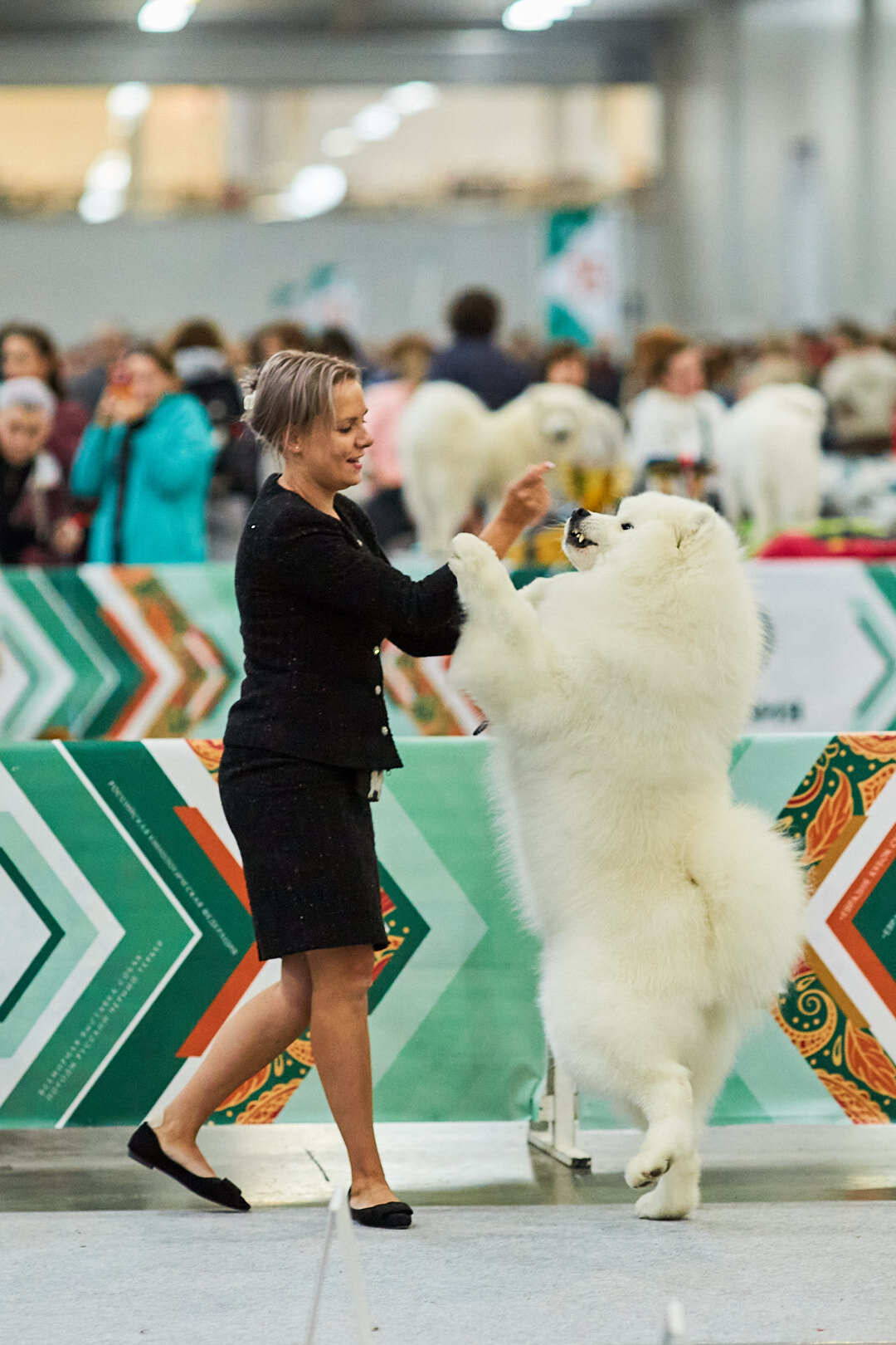 Dog Show Eurasia-2024 - My, Dog show, The photo, Dog, Dog lovers, Friend, Training, Kindness, Longpost