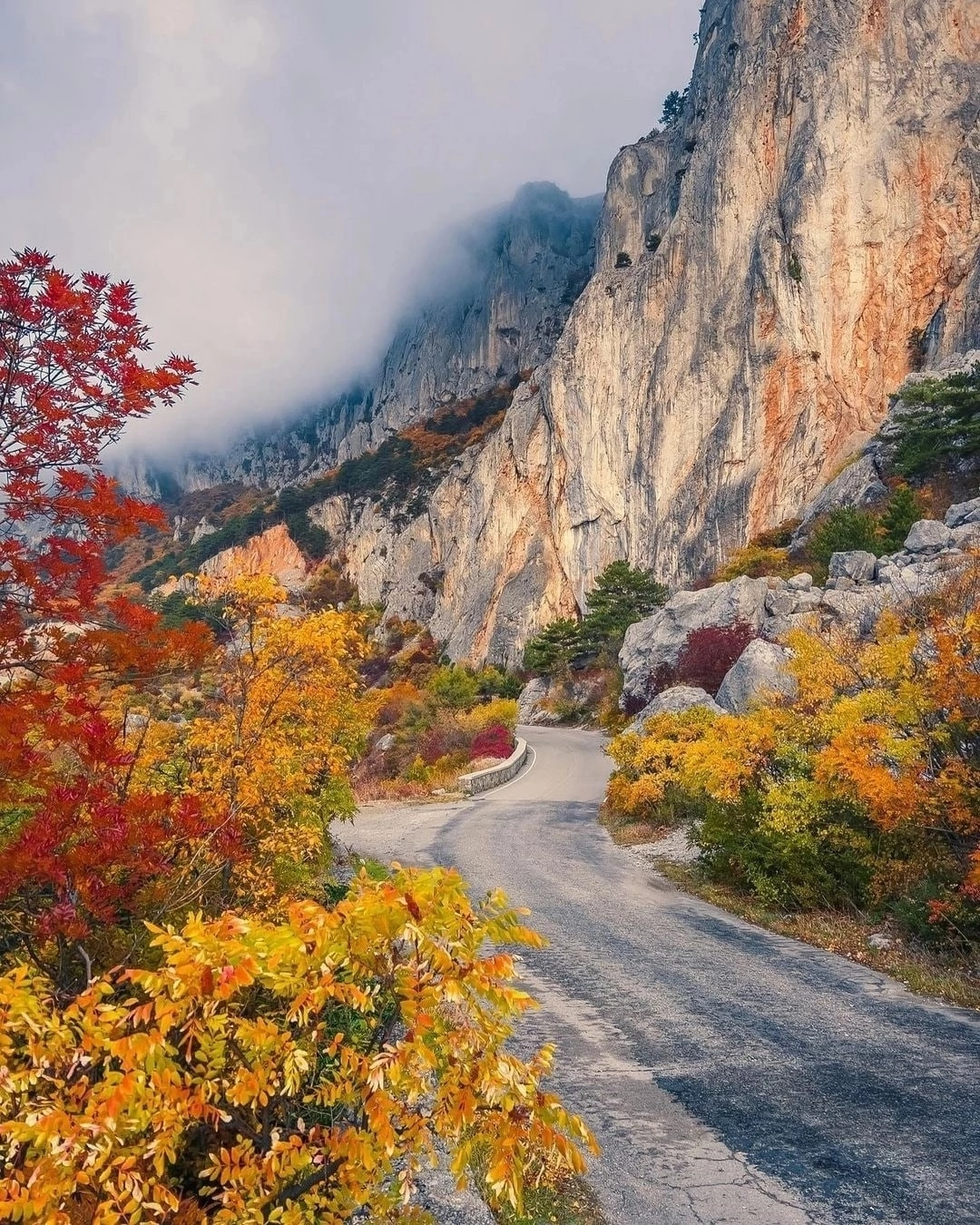 Old Yalta highway, Crimea - Crimea, Track, The photo, Nature