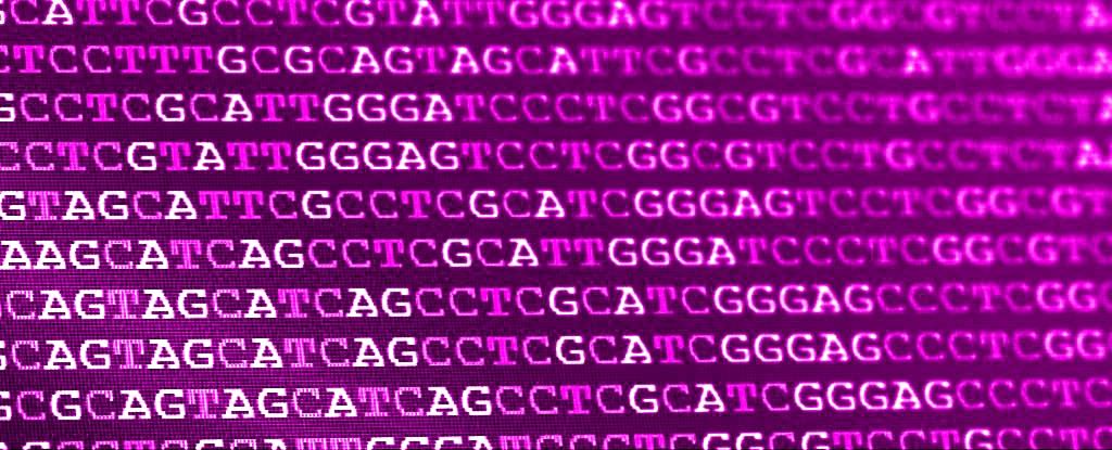 DNA: Divine Storage Technology - Evolution, God, Christianity, Critical thinking, Atheism, Science and religion, DNA, Telegram (link)