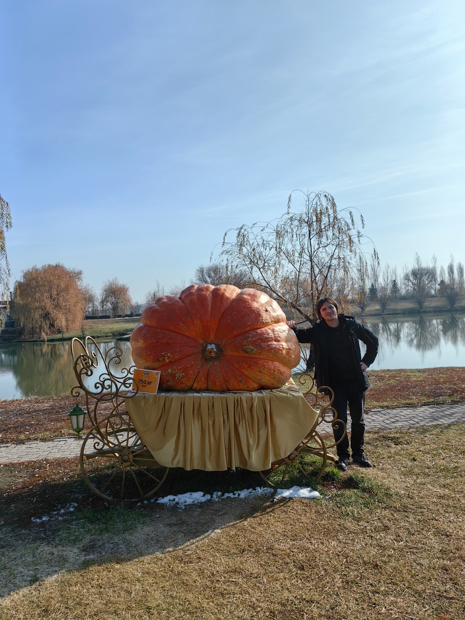 Went to Kazakhstan for seeds of my giant pumpkins - My, Garden, Garden, Gardening, Plants, Vegetables, Pumpkin, Travels, Kazakhstan, The photo, Vertical video, Video, Longpost