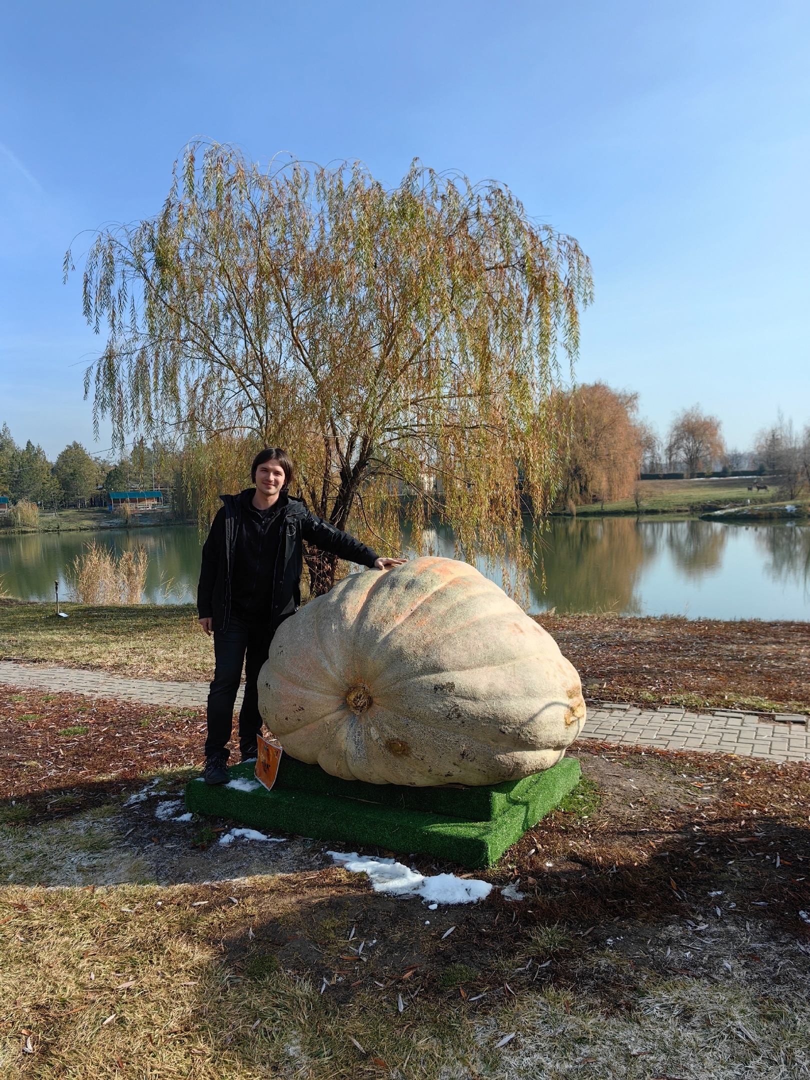 Went to Kazakhstan for seeds of my giant pumpkins - My, Garden, Garden, Gardening, Plants, Vegetables, Pumpkin, Travels, Kazakhstan, The photo, Vertical video, Video, Longpost