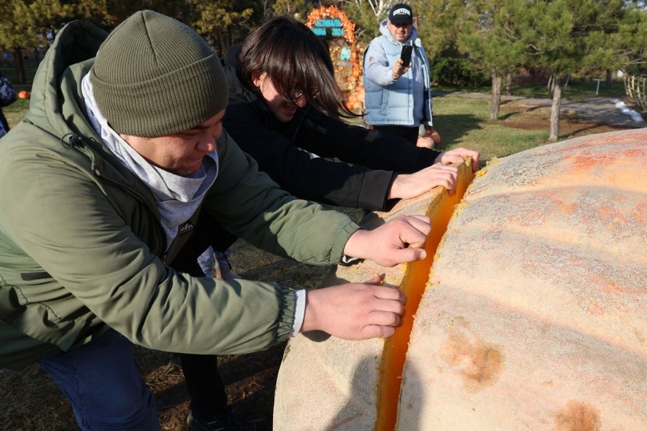 Went to Kazakhstan for seeds of my giant pumpkins - My, Garden, Garden, Gardening, Plants, Vegetables, Pumpkin, Travels, Kazakhstan, The photo, Vertical video, Video, Longpost