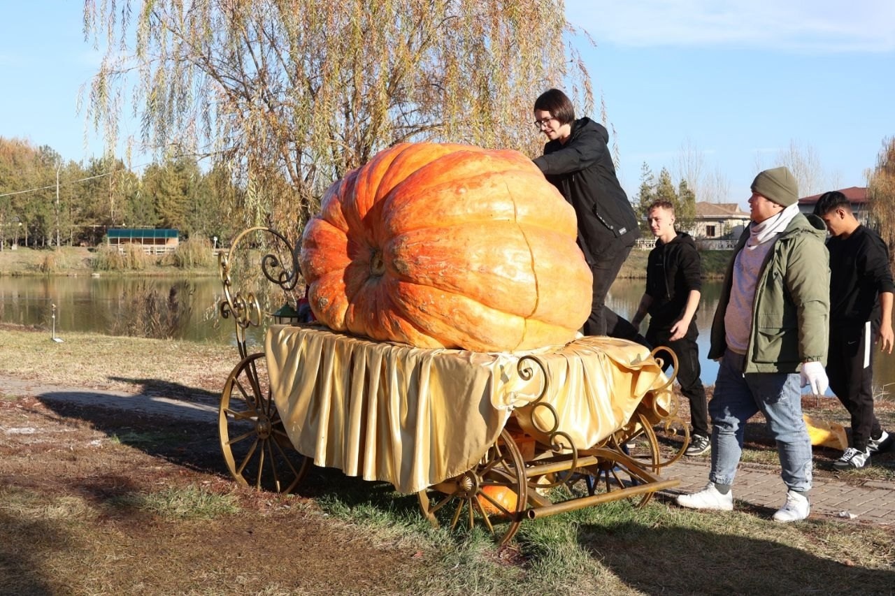 Went to Kazakhstan for seeds of my giant pumpkins - My, Garden, Garden, Gardening, Plants, Vegetables, Pumpkin, Travels, Kazakhstan, The photo, Vertical video, Video, Longpost