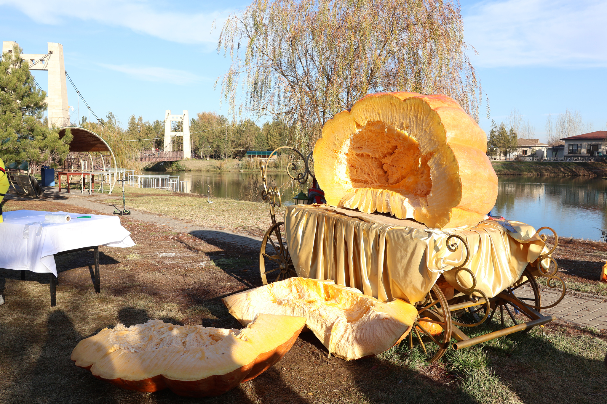 Went to Kazakhstan for seeds of my giant pumpkins - My, Garden, Garden, Gardening, Plants, Vegetables, Pumpkin, Travels, Kazakhstan, The photo, Vertical video, Video, Longpost