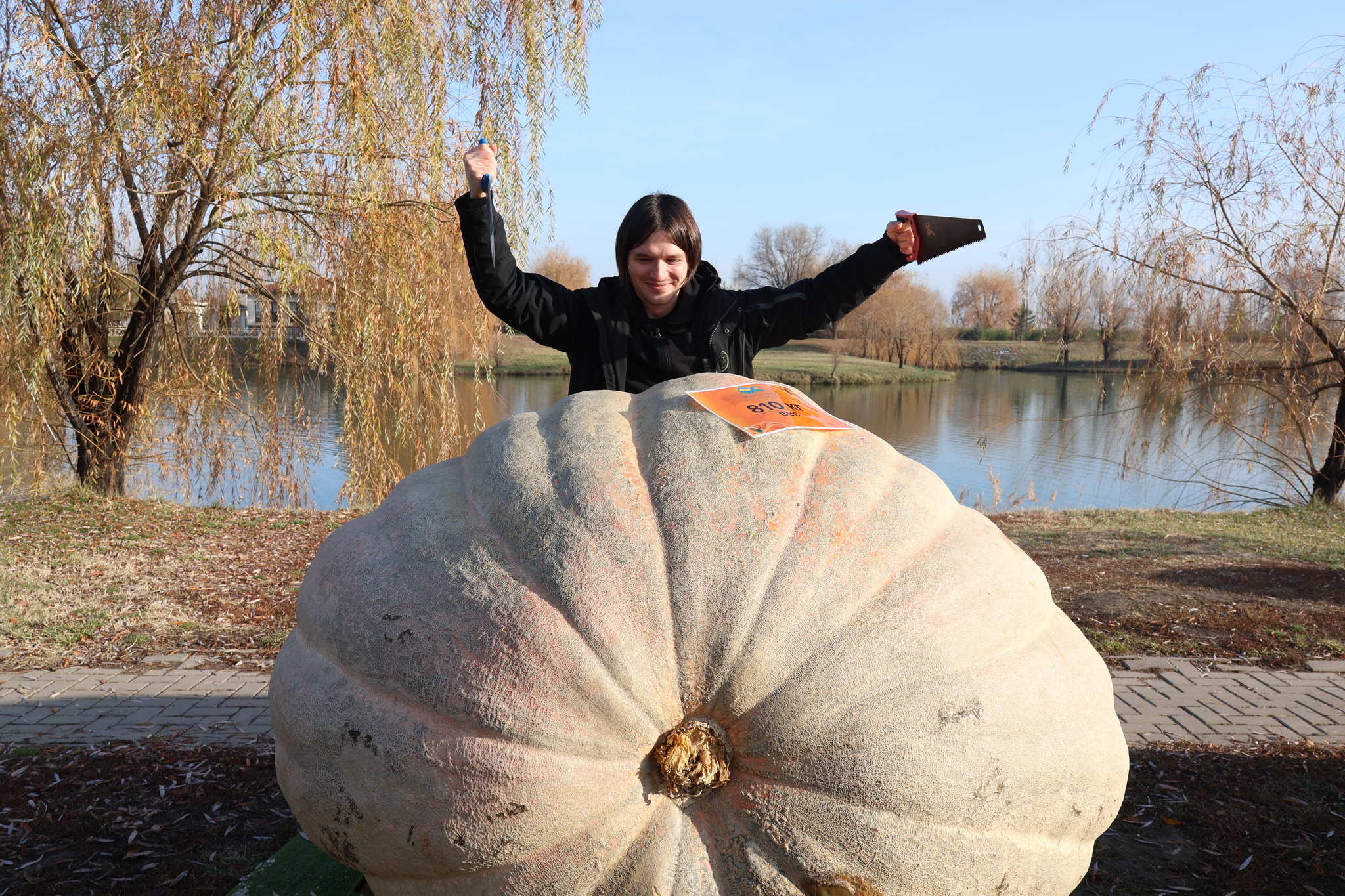 Went to Kazakhstan for seeds of my giant pumpkins - My, Garden, Garden, Gardening, Plants, Vegetables, Pumpkin, Travels, Kazakhstan, The photo, Vertical video, Video, Longpost