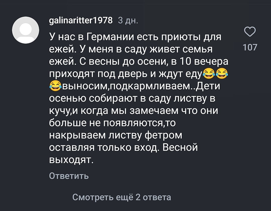 В Германии есть приют для ежей) - Ёжик, Германия, Приют для животных, Скриншот, Комментарии