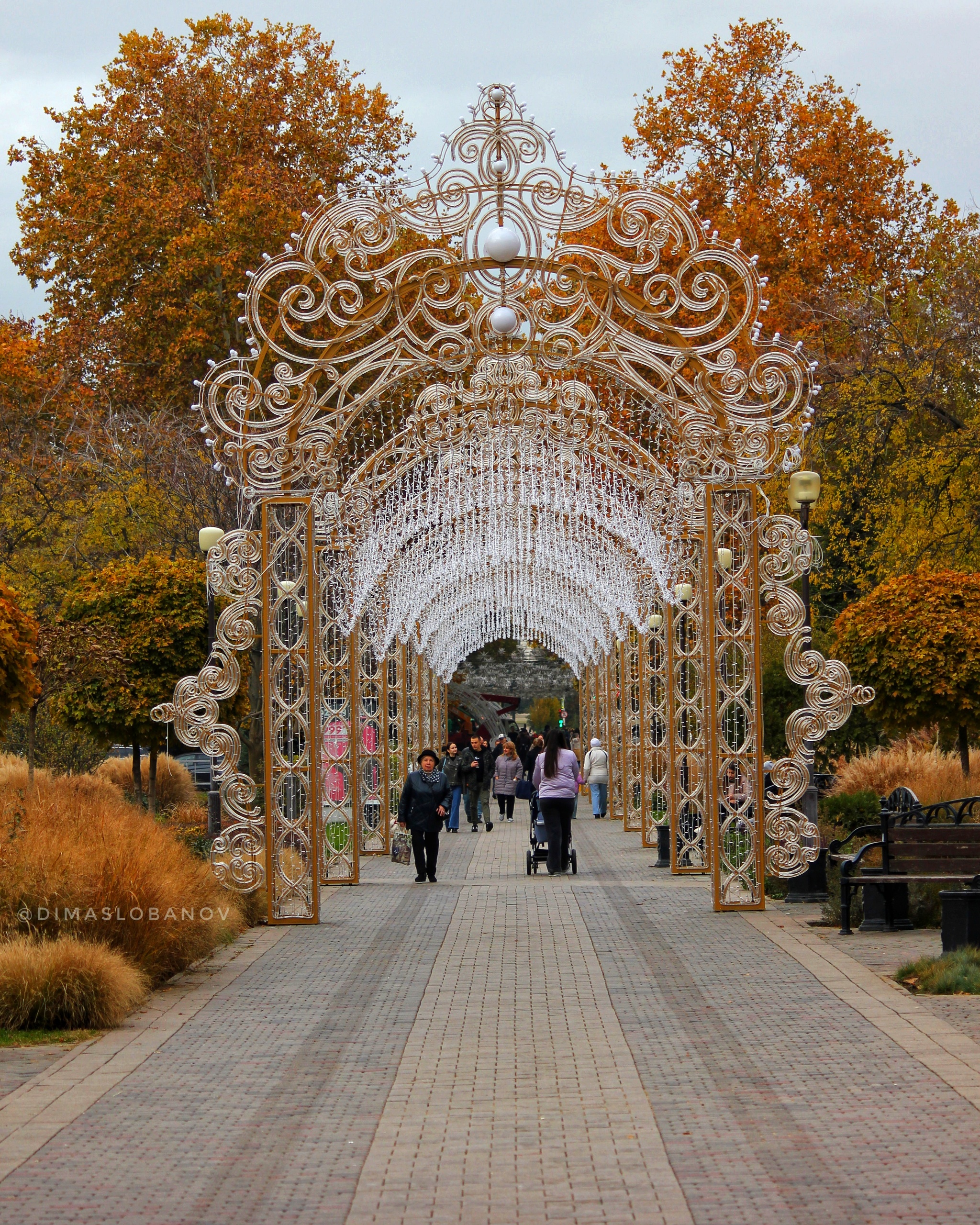 Autumn Krasnodar - My, Krasnodar, The photo, New Year, Краснодарский Край, Autumn, Christmas tree, New Year's miracle, Longpost