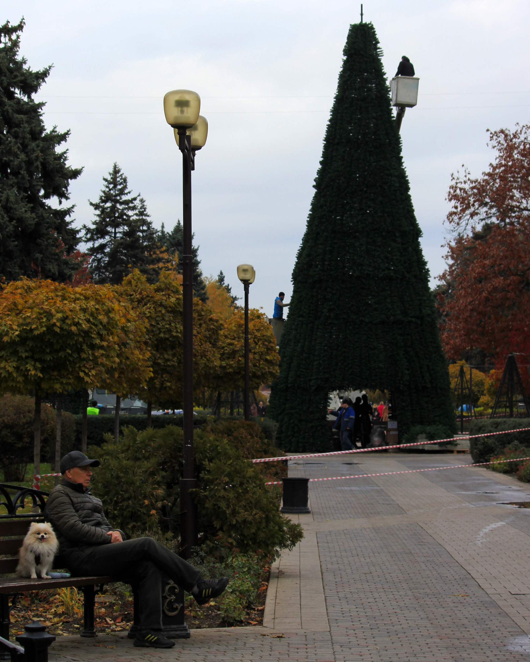 Autumn Krasnodar - My, Krasnodar, The photo, New Year, Краснодарский Край, Autumn, Christmas tree, New Year's miracle, Longpost