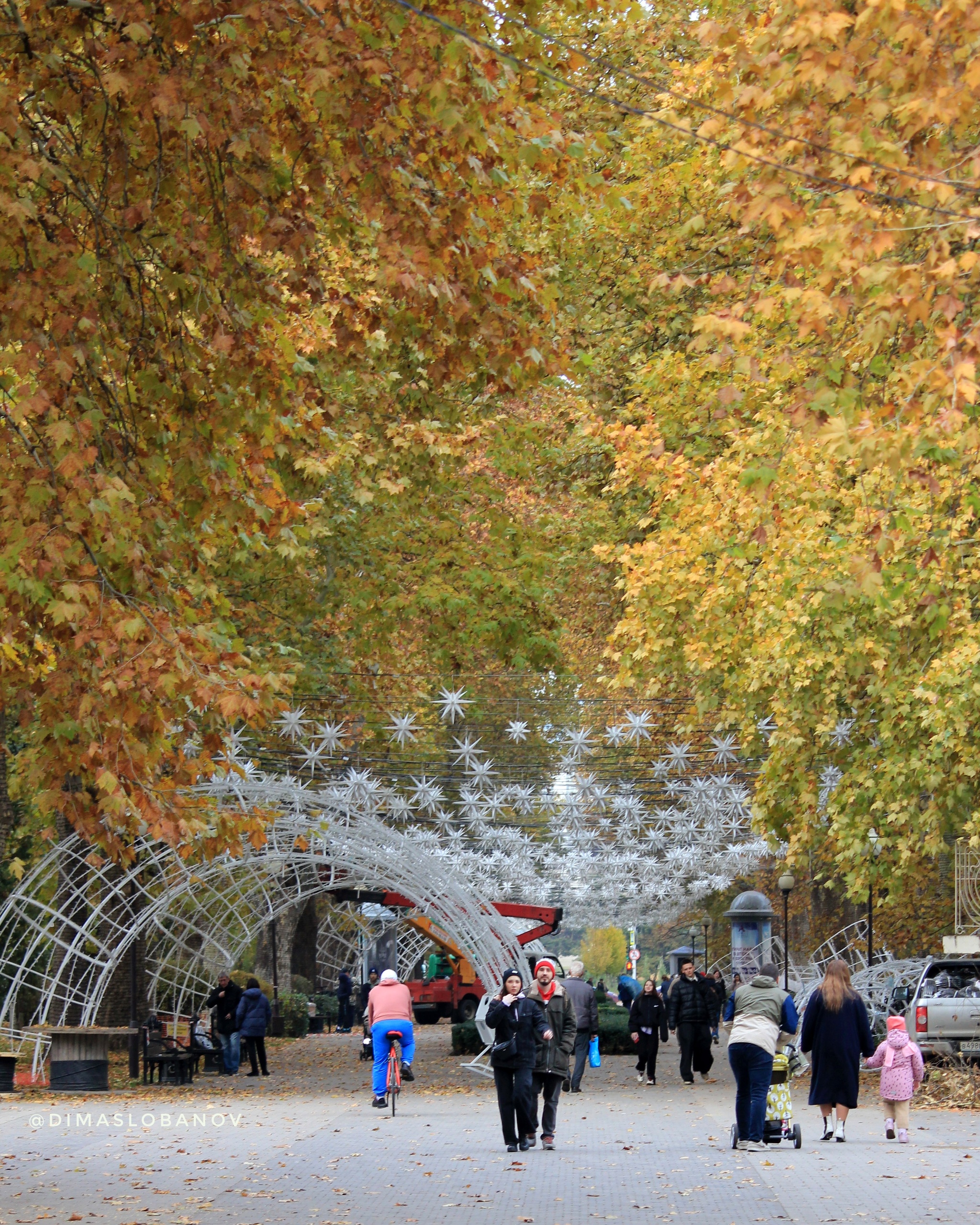 Autumn Krasnodar - My, Krasnodar, The photo, New Year, Краснодарский Край, Autumn, Christmas tree, New Year's miracle, Longpost