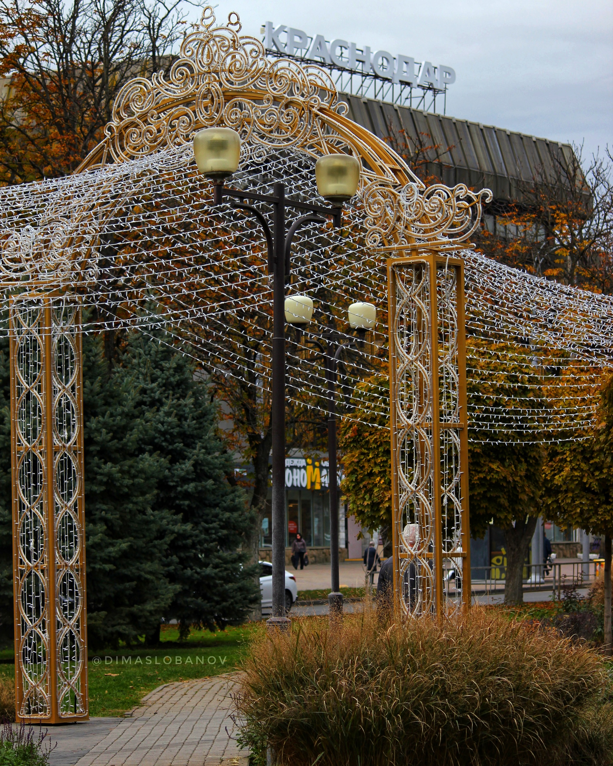 Autumn Krasnodar - My, Krasnodar, The photo, New Year, Краснодарский Край, Autumn, Christmas tree, New Year's miracle, Longpost