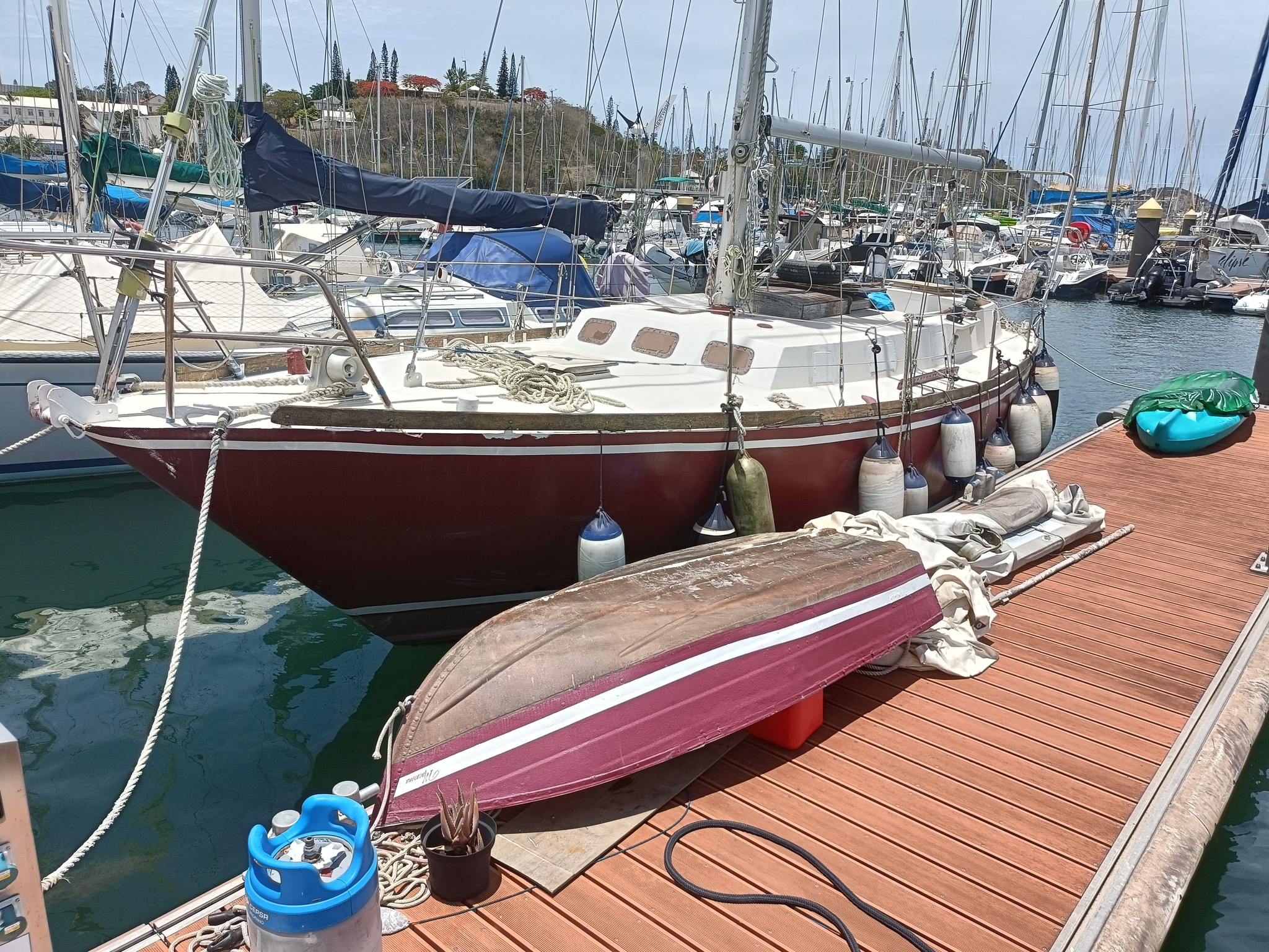 Marina vs Anchor - My, Port, Yachting, Longpost