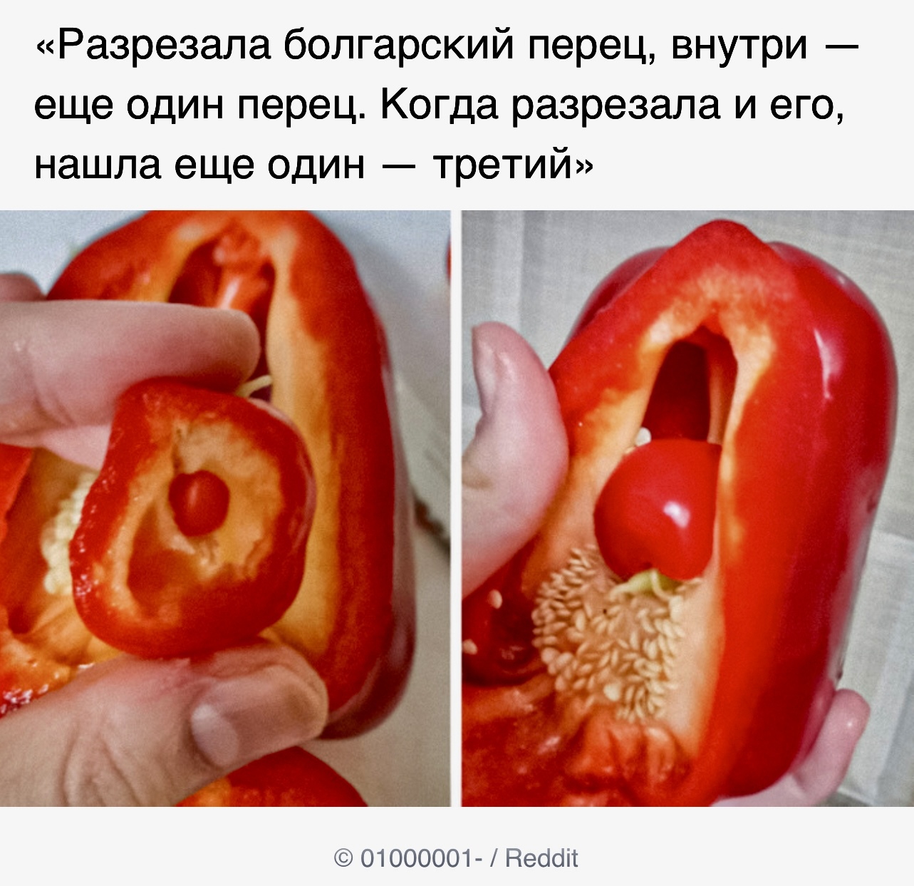 Matryoshka - Screenshot, ADME, Reddit, Bell pepper, Matryoshka, Vegetables