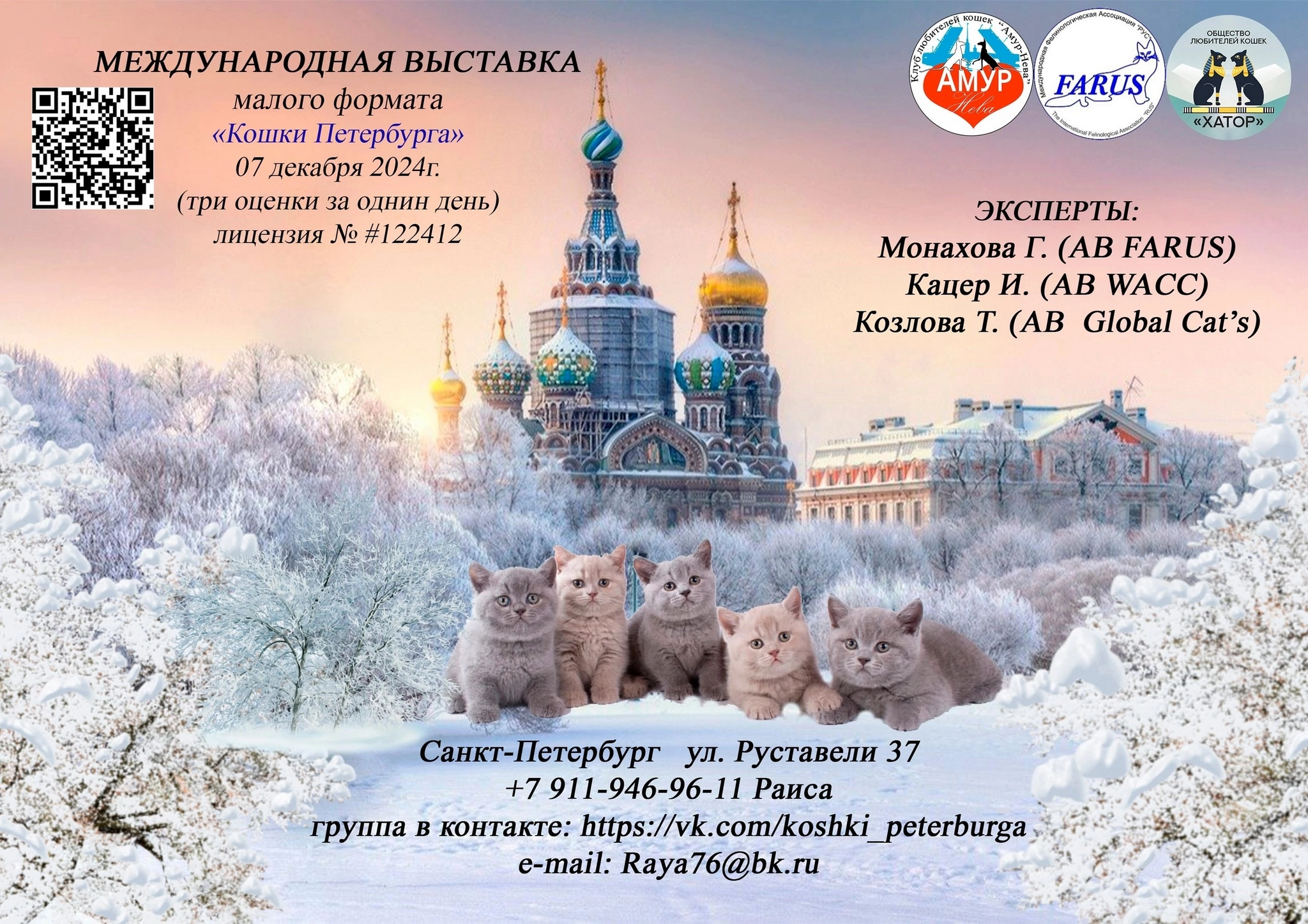 Many thanks for the support (utilization shed of the breeder Potekhina, KLC Amur Neva, FARUS) - My, cat, Breeders, Longpost, Video, Vertical video, Tosno, Munchkin, Kittens, Saint Petersburg, Felinologist, Felinology, Soundless