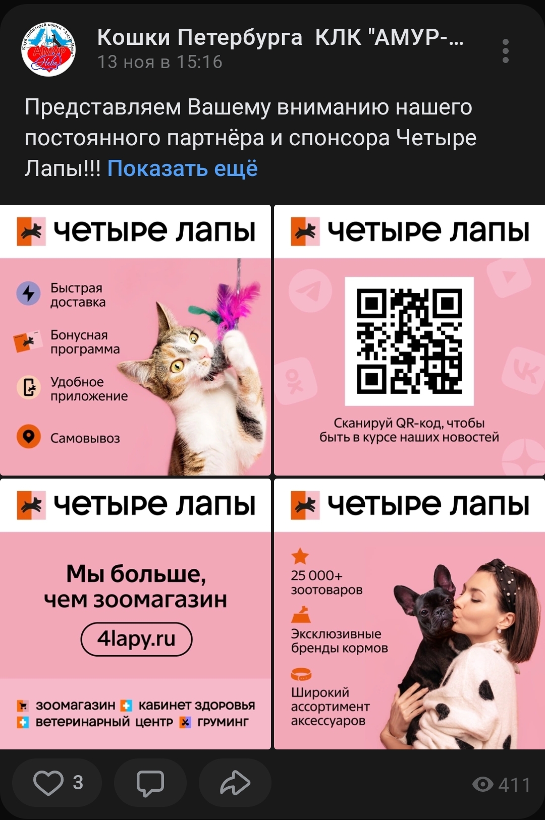 Many thanks for the support (utilization shed of the breeder Potekhina, KLC Amur Neva, FARUS) - My, cat, Breeders, Longpost, Video, Vertical video, Tosno, Munchkin, Kittens, Saint Petersburg, Felinologist, Felinology, Soundless