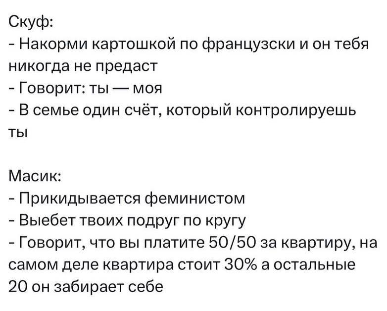 Skuf or Masik? Which one will you choose? - Relationship, Humor, War of the sexes, Men and women, Picture with text, From the network, Skufs, Masik, Repeat, Family, Budget, Treason, In half, 50 to 50, Feminism