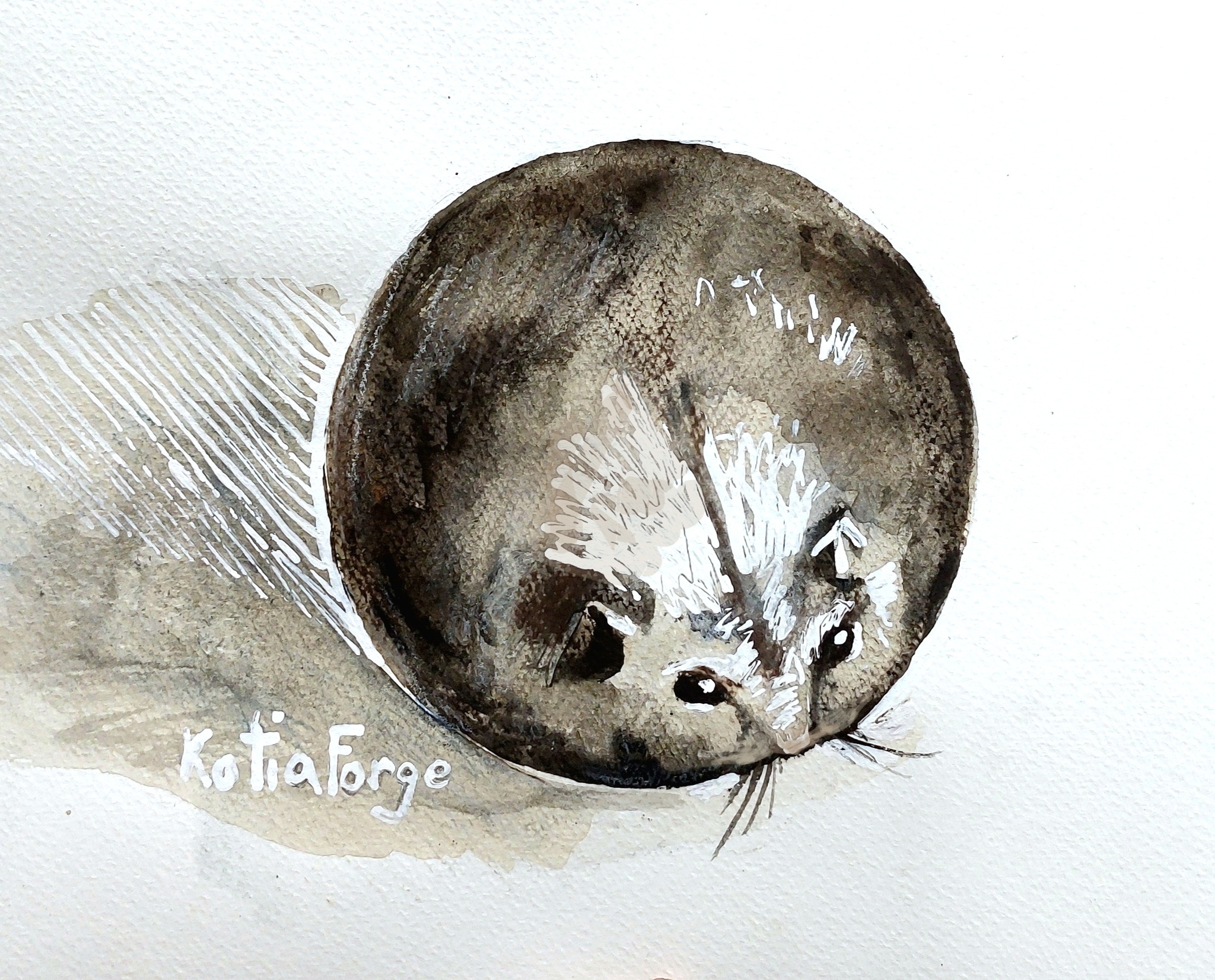 This is a hamster - My, Hamster, Drawing, Watercolor, Caricature, Kotiaforge