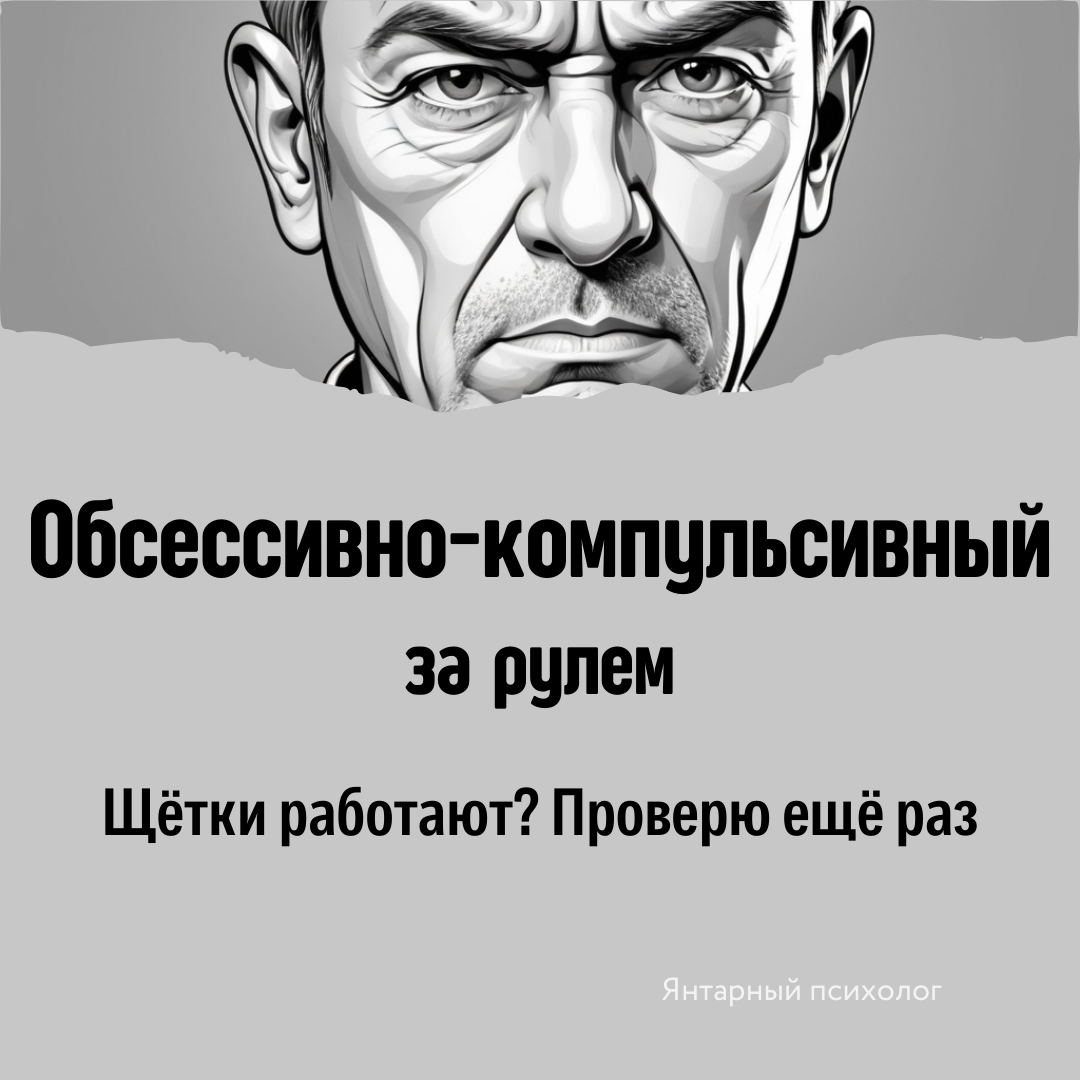 Типы личностей и вождение в снегопад - Картинка с текстом, Мемы, Юмор, Длиннопост, За рулем, Типы людей, Подборка