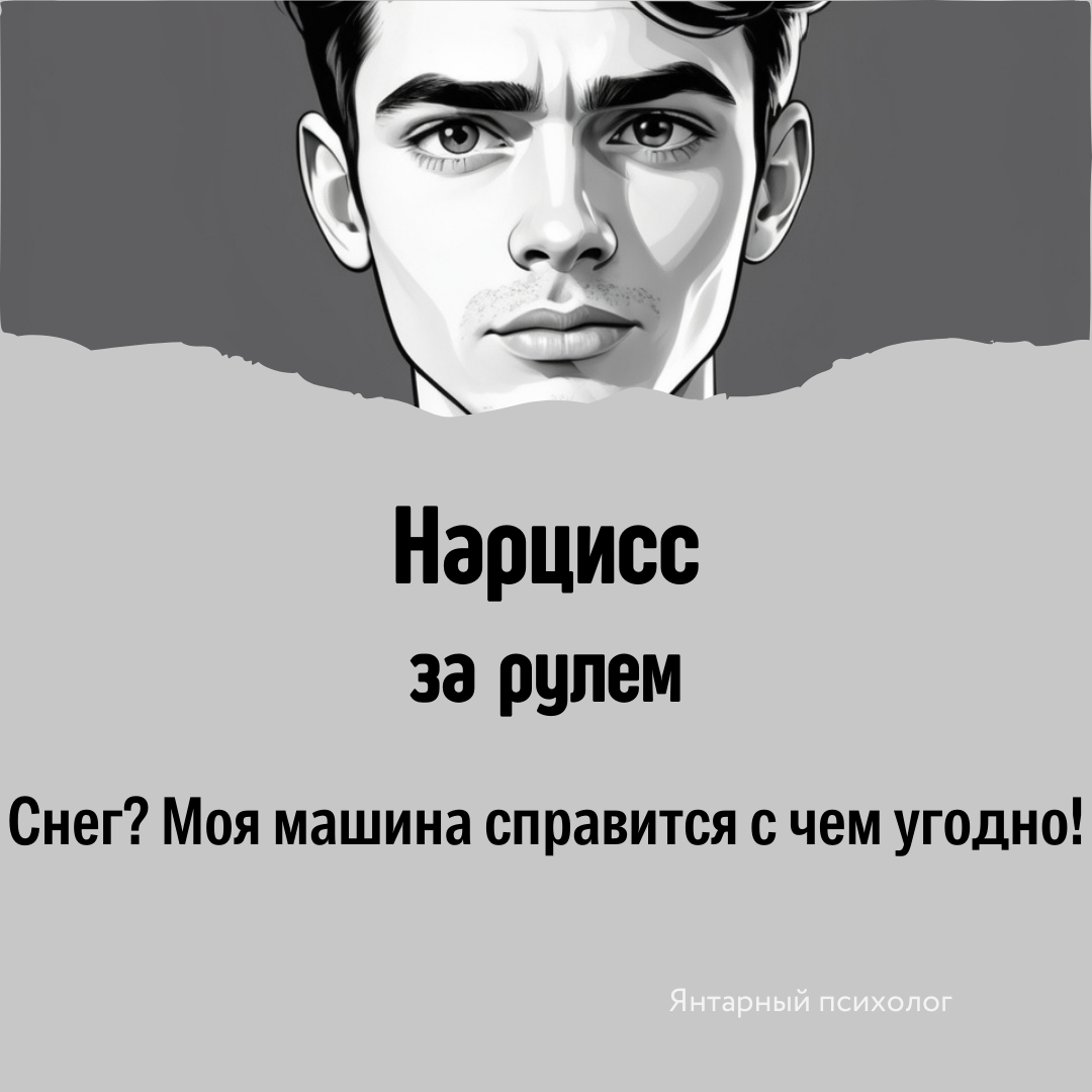 Типы личностей и вождение в снегопад - Картинка с текстом, Мемы, Юмор, Длиннопост, За рулем, Типы людей, Подборка