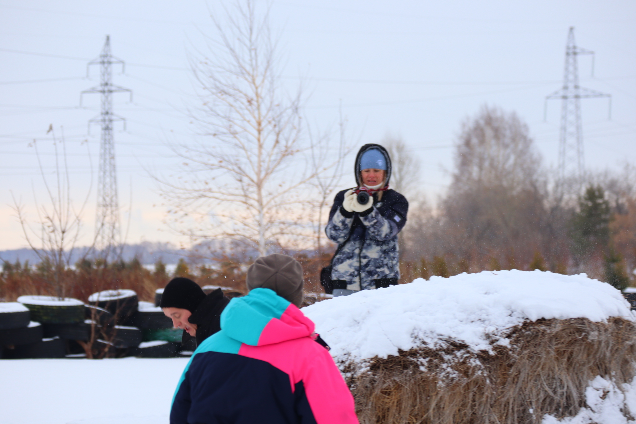 Dog training in Omsk - OCSSSS 11/16/24 - Dog, Puppies, Omsk, Training, Г“Г±Г±Г±, Friend, Care, Kindness, Dog breeding, Friends, Longpost