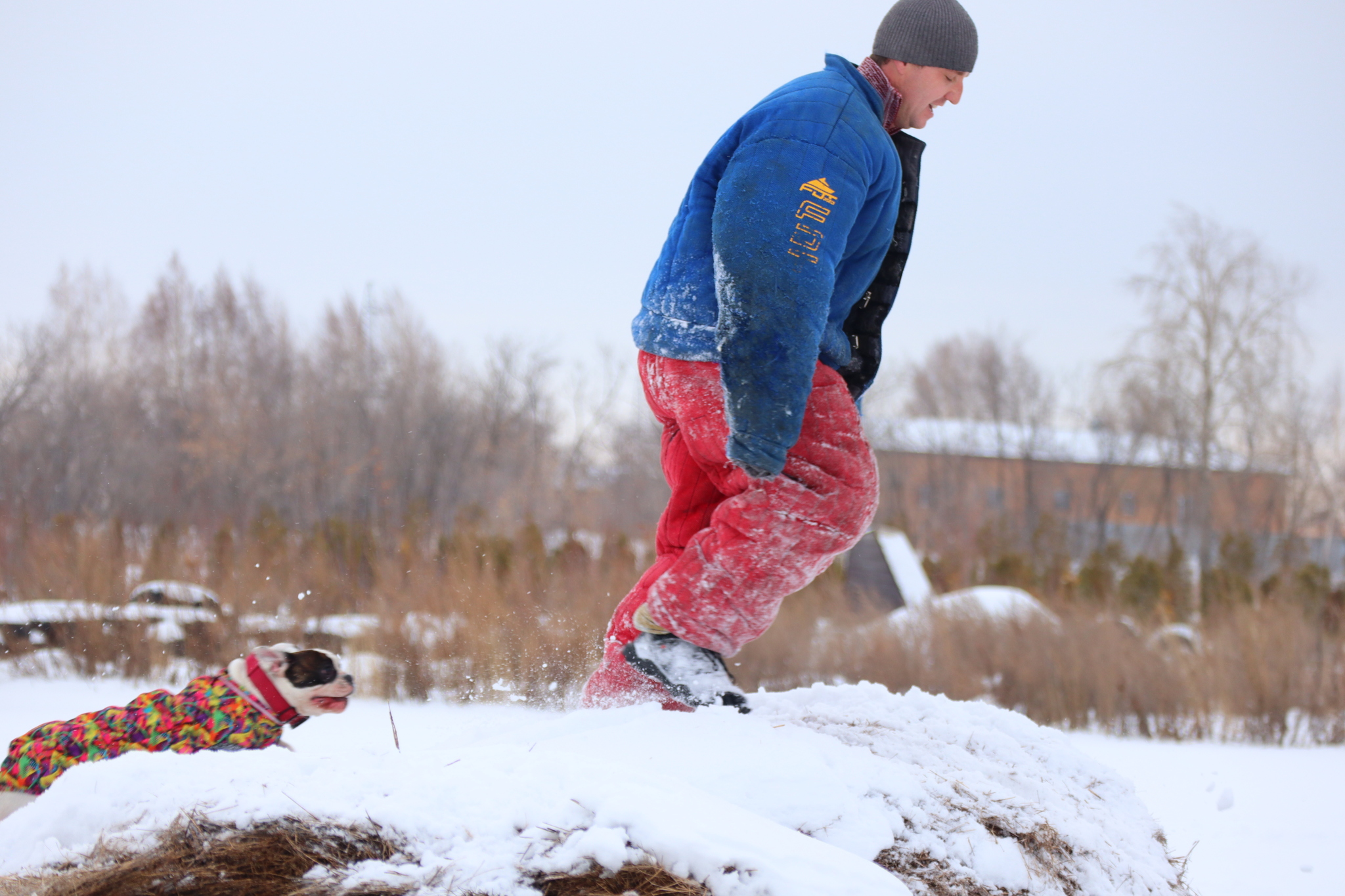 Dog training in Omsk - OCSSSS 11/16/24 - Dog, Puppies, Omsk, Training, Г“Г±Г±Г±, Friend, Care, Kindness, Dog breeding, Friends, Longpost